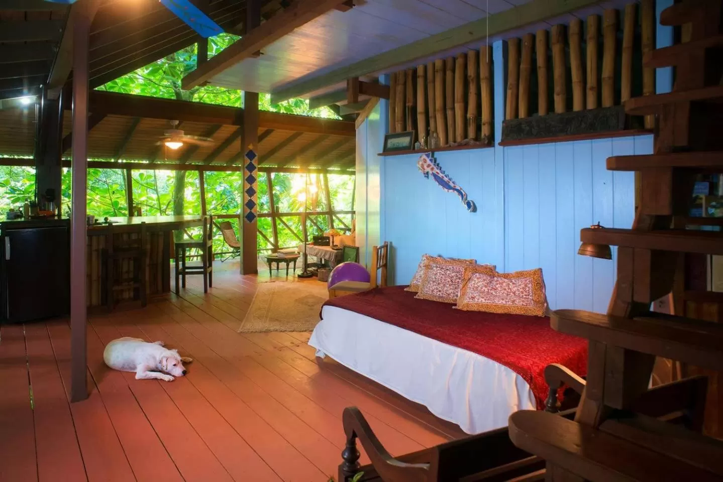 Living room, Bed in Cocoa Cottage