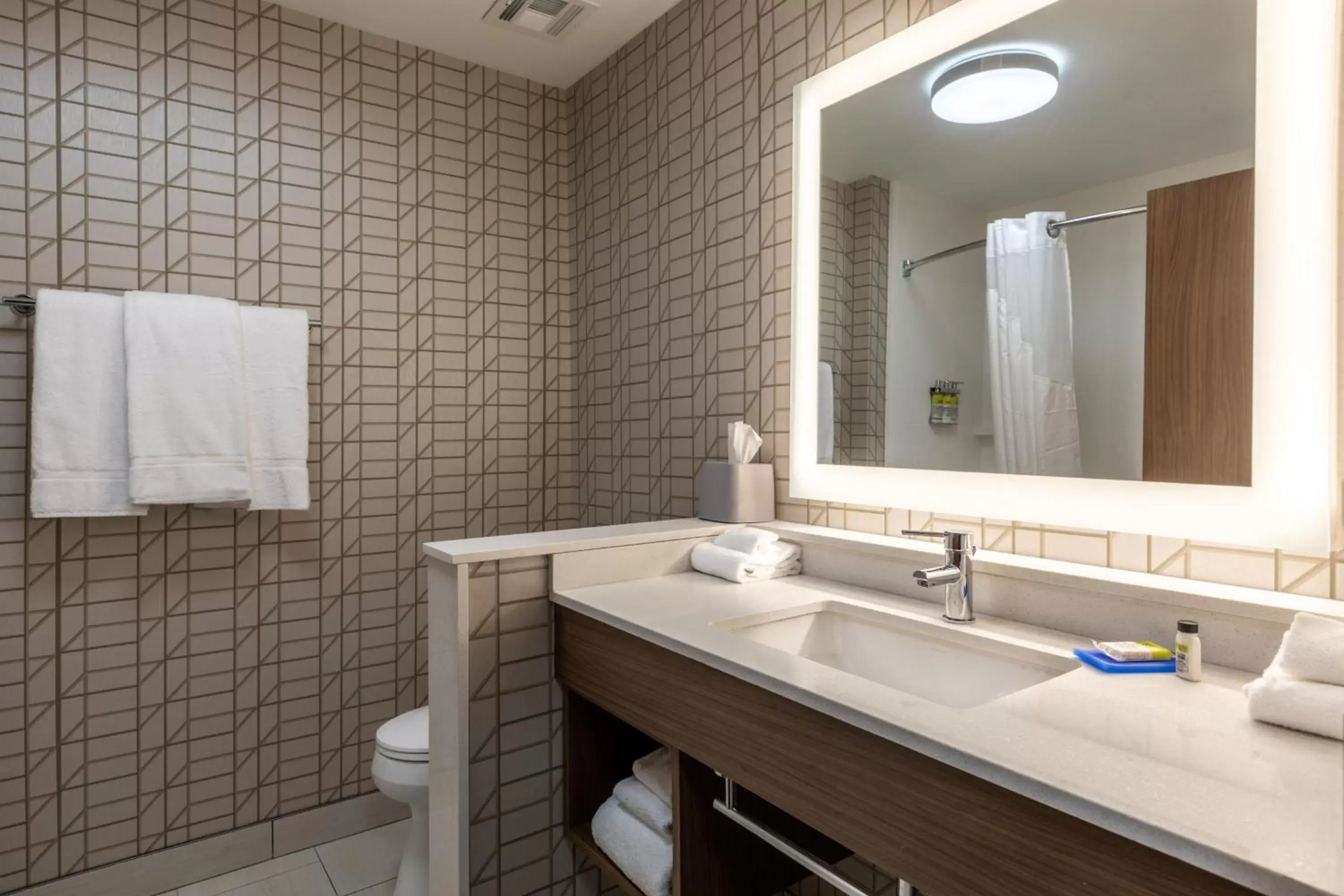 Bathroom in Holiday Inn Express & Suites Gainesville - Lake Lanier Area, an IHG Hotel