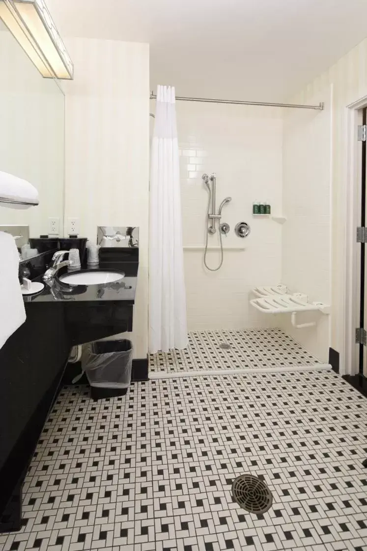 Shower, Bathroom in Fairfield Inn & Suites by Marriott Millville Vineland