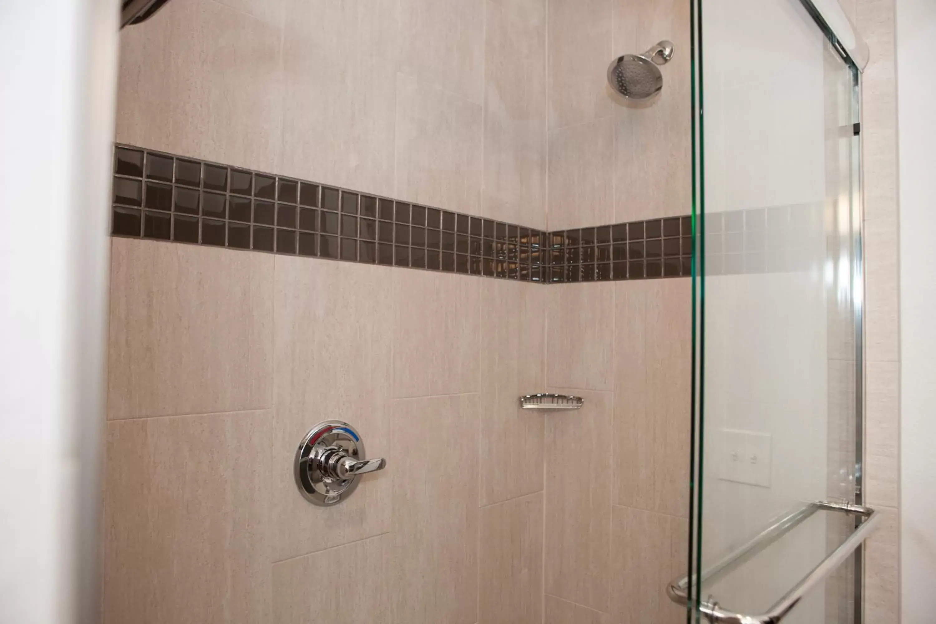 Shower, Bathroom in La Quinta Inn & Suites by Wyndham Lubbock Southwest