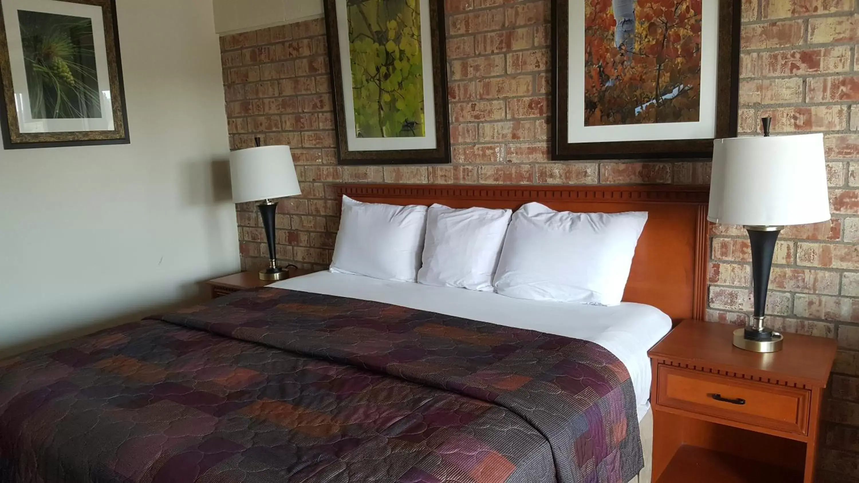 Bed in Budget Host Platte Valley Inn