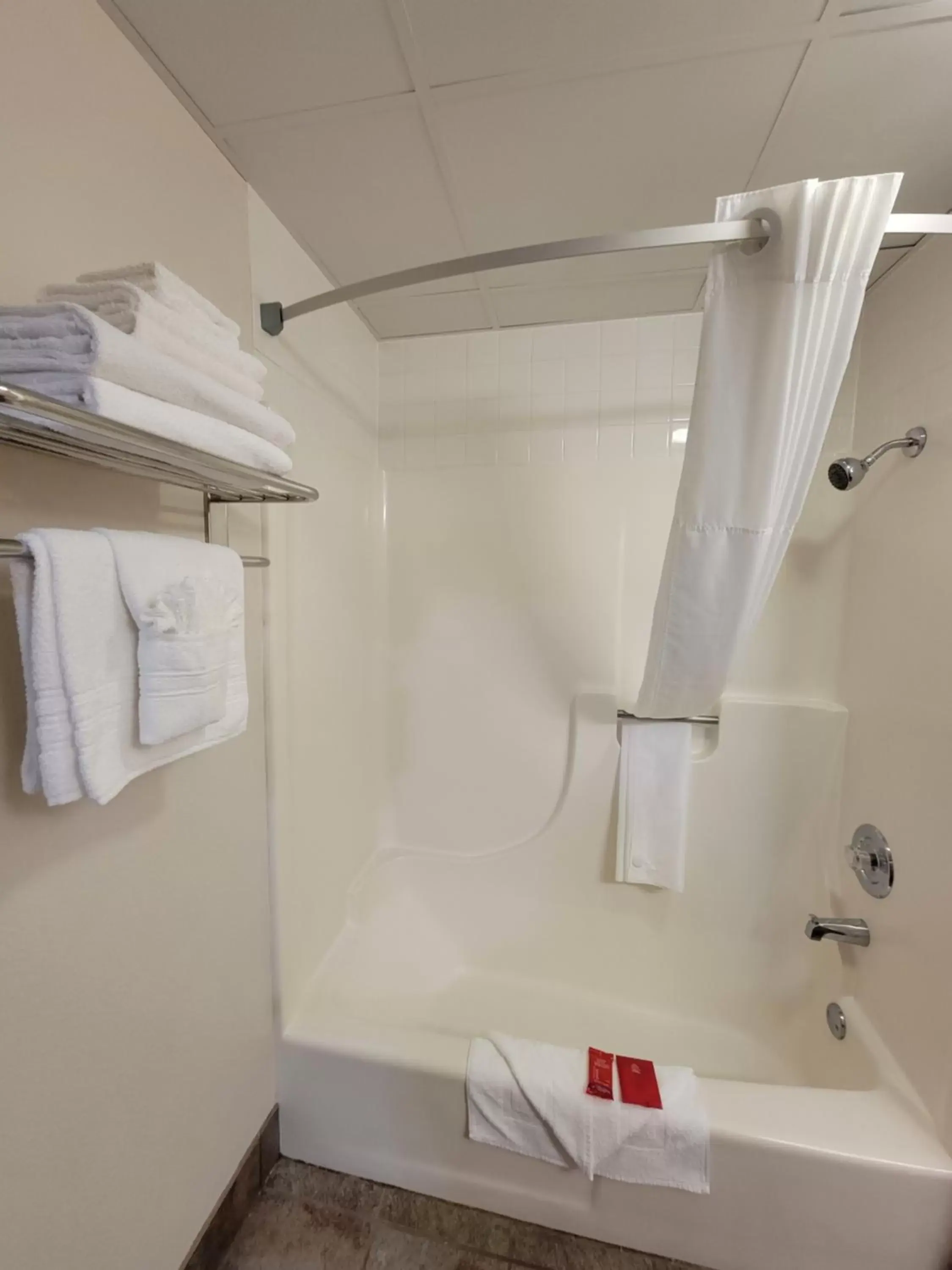 Shower, Bathroom in SureStay Plus Hotel by Best Western Grand Island