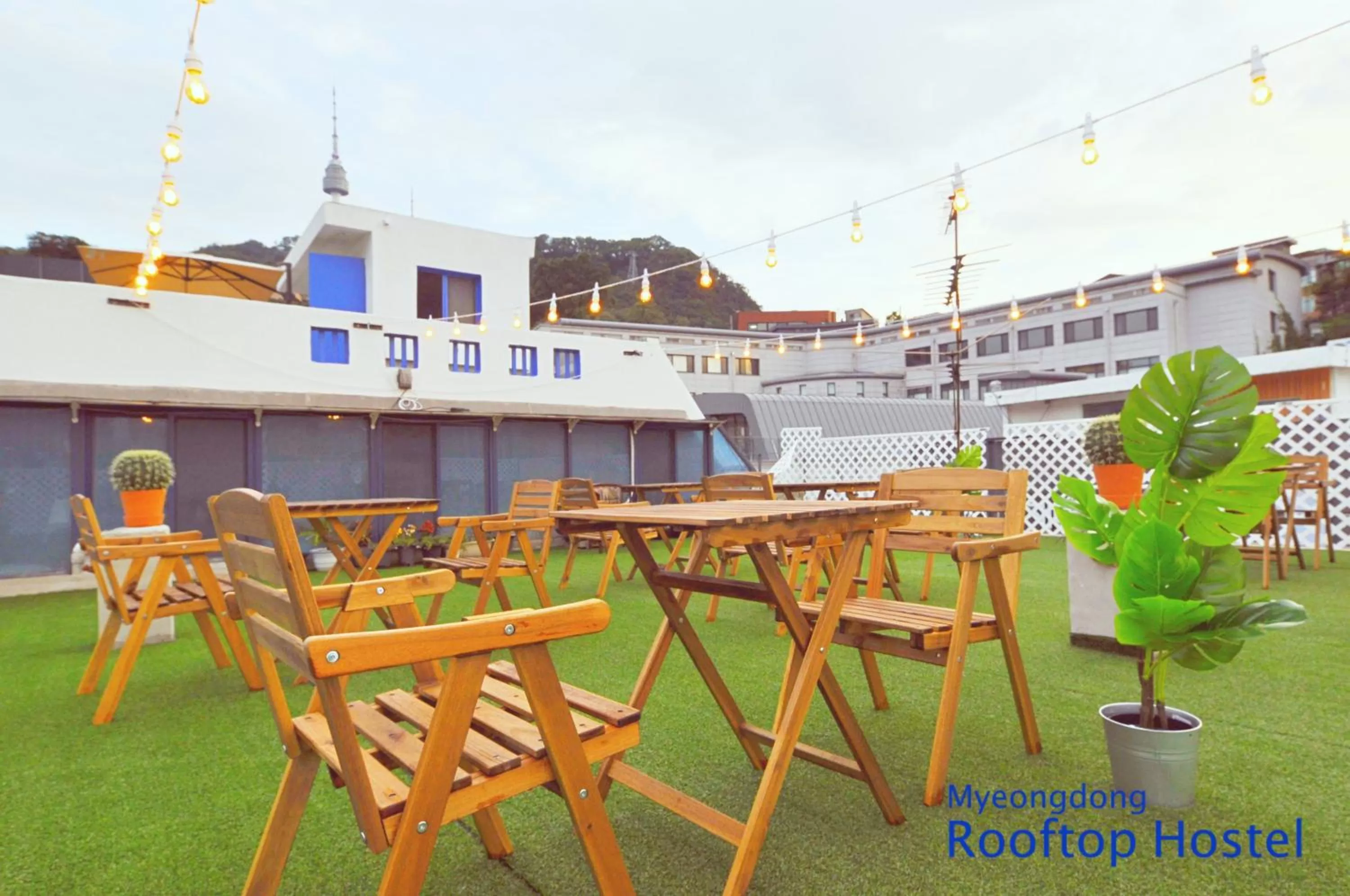 OYO Rooftop Hostel