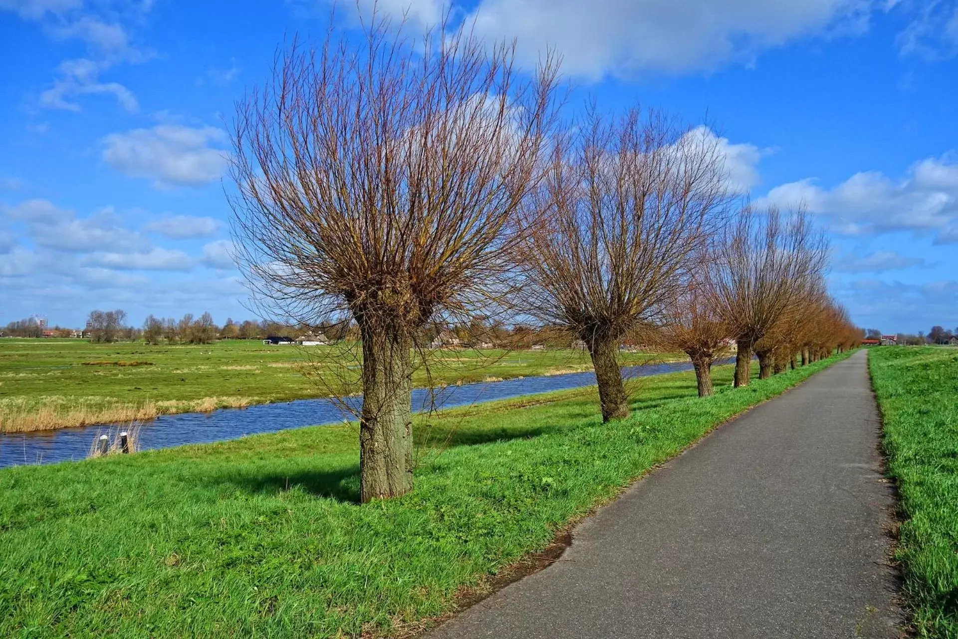 B&B Oostzomerland