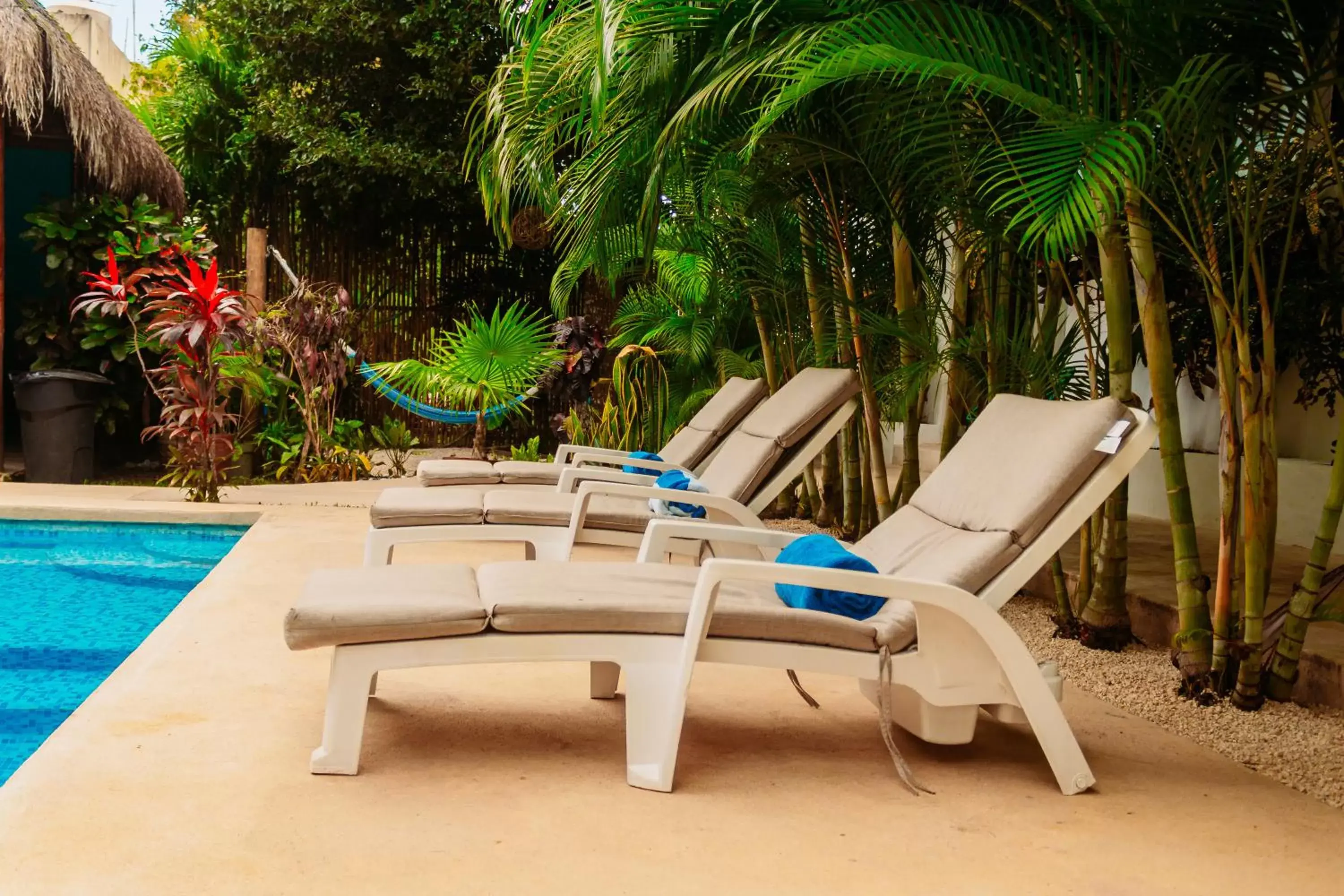 Swimming Pool in Azul 36 Hotel