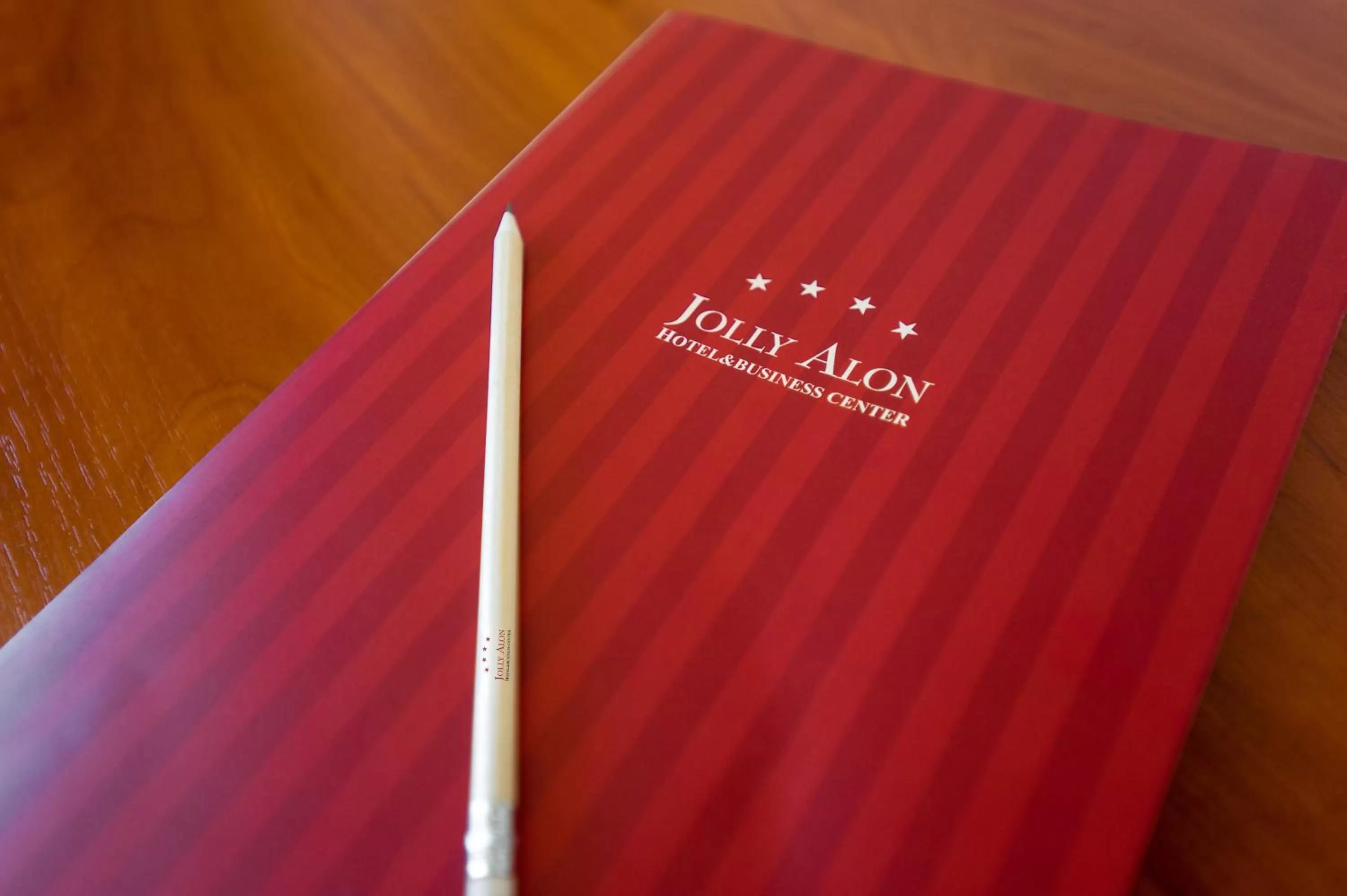 Business facilities in Jolly Alon Hotel