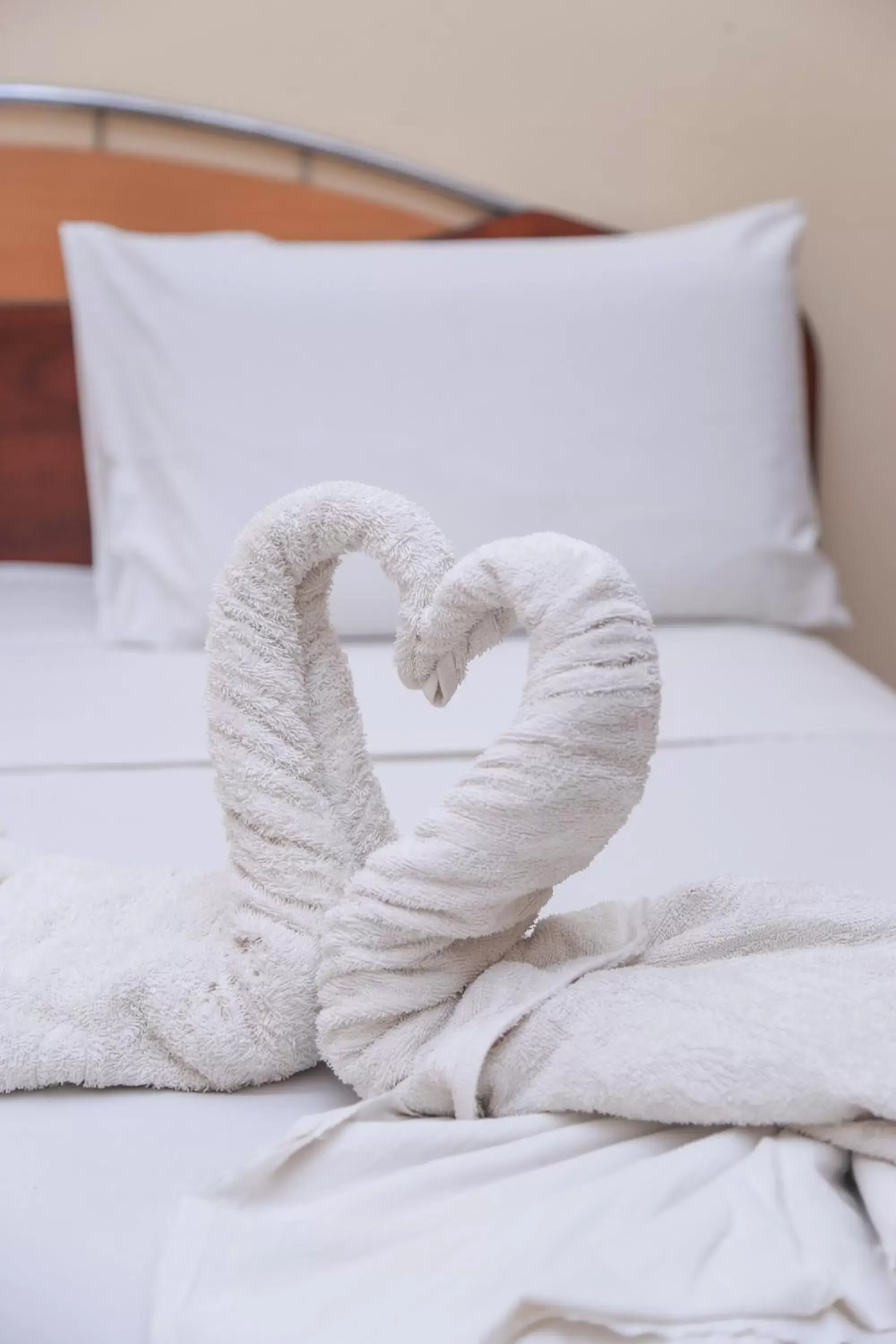 Standard Double Room in Milano Tourist Rest Standard Double Room in Milano Tourist Rest