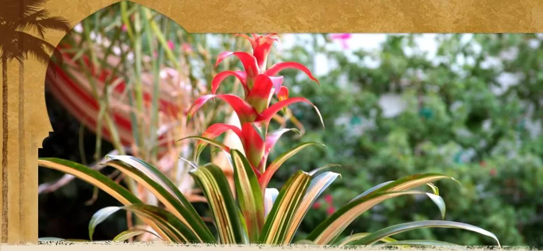 Day in El Morocco Inn & Spa