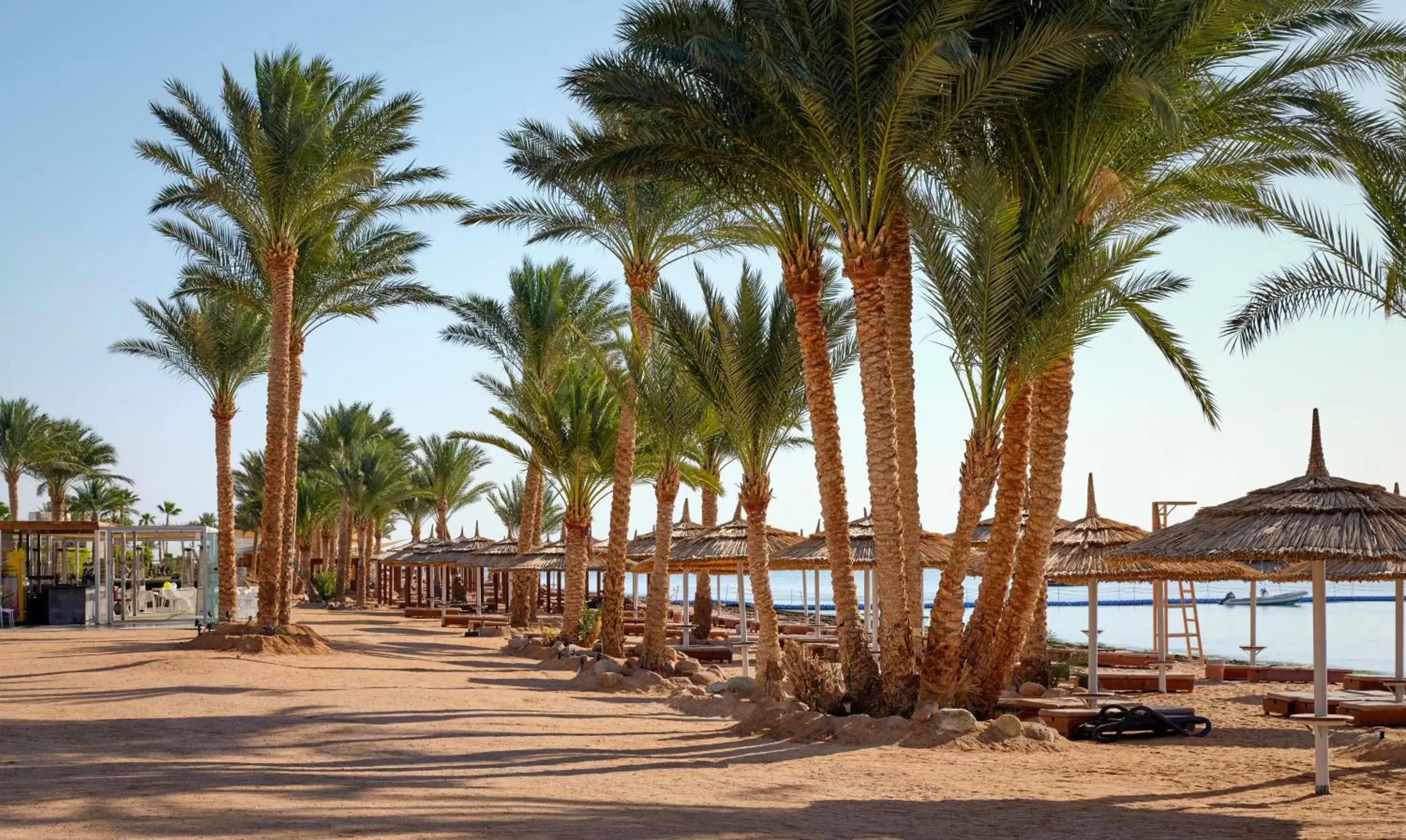 Beach in Coral Sea Imperial "Coral Sea Sensatori"