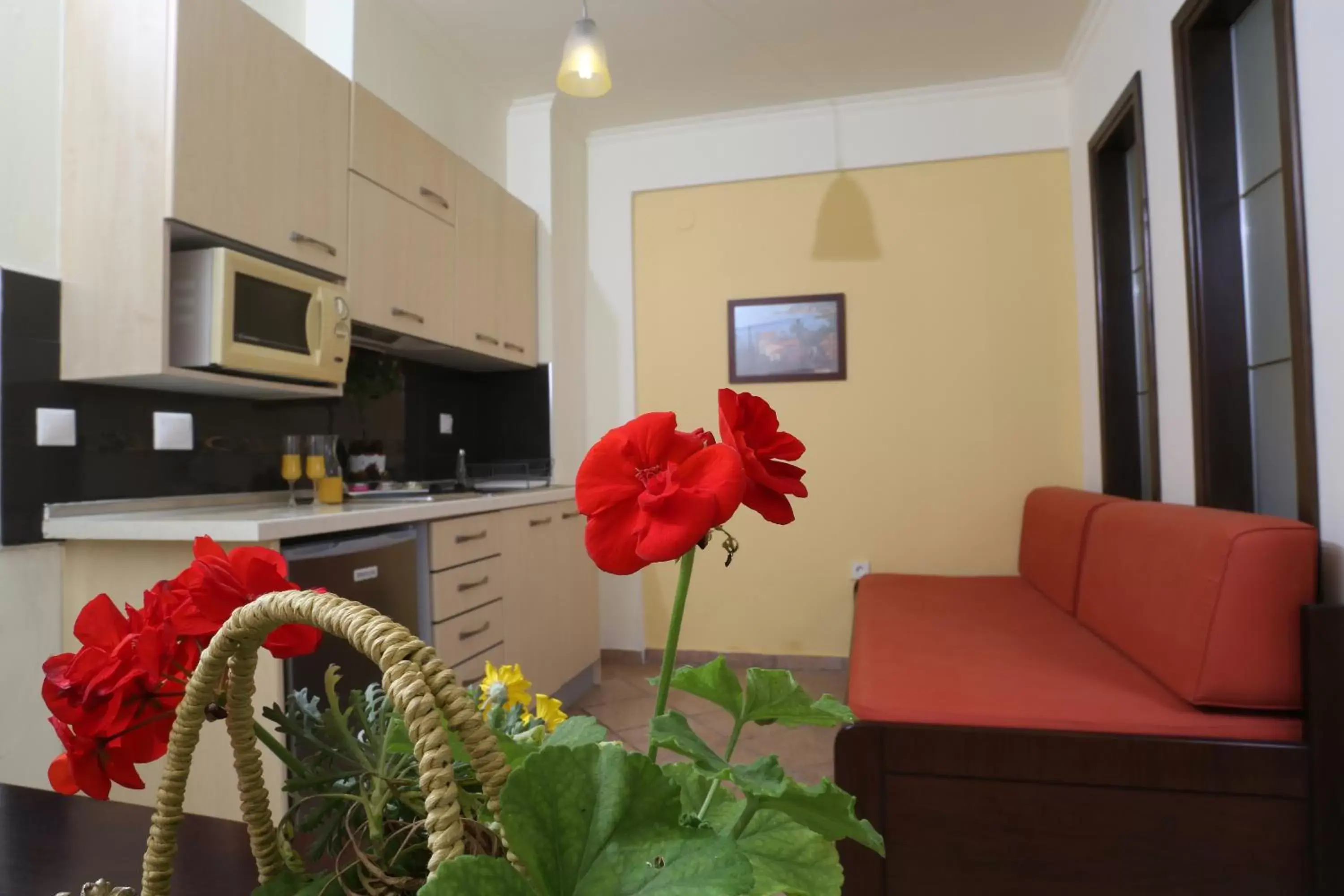 Kitchen or kitchenette, Kitchen/Kitchenette in Hotel Aeollos