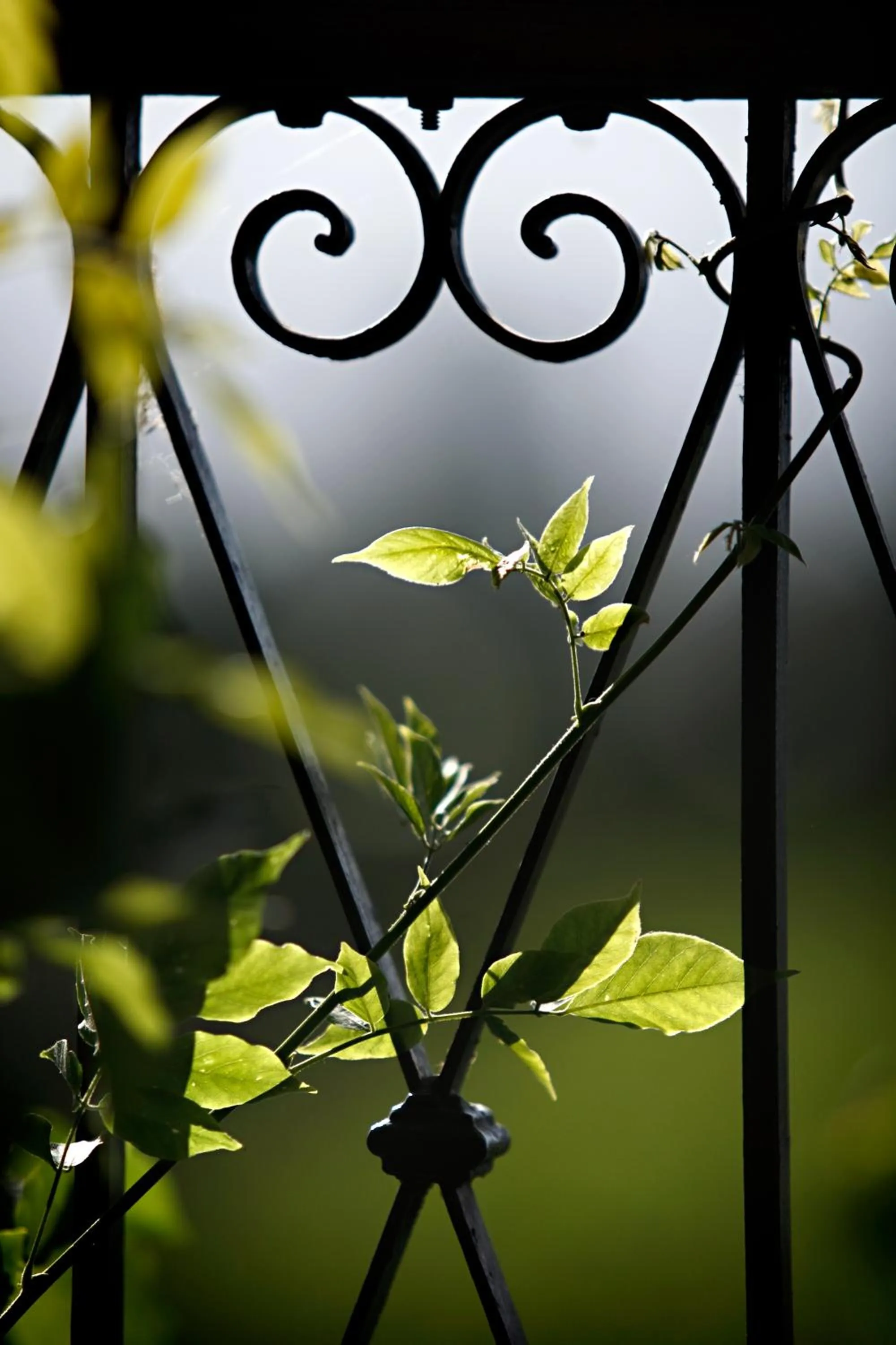 Decorative detail in Club Tapiz
