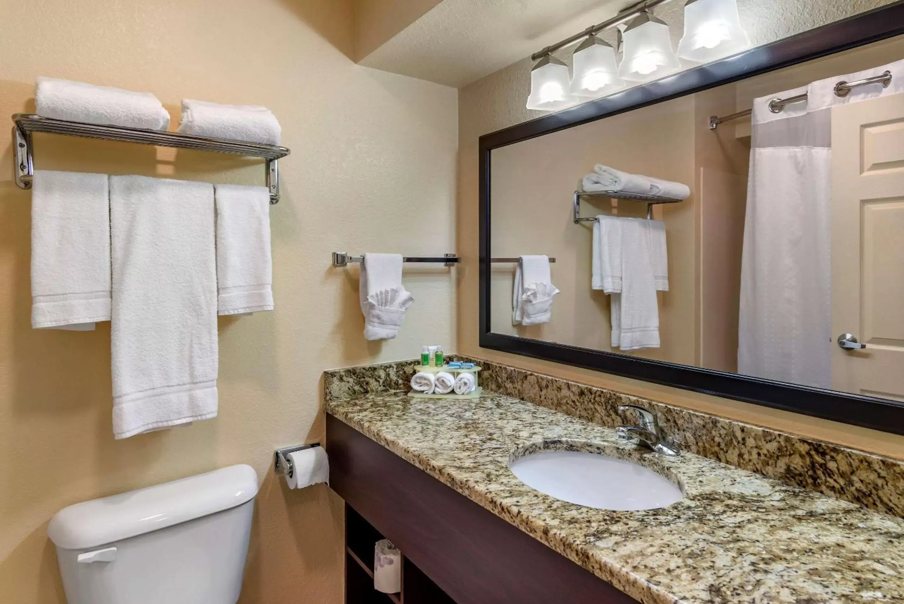 Bathroom in Comfort Inn & Suites Dahlonega University Area