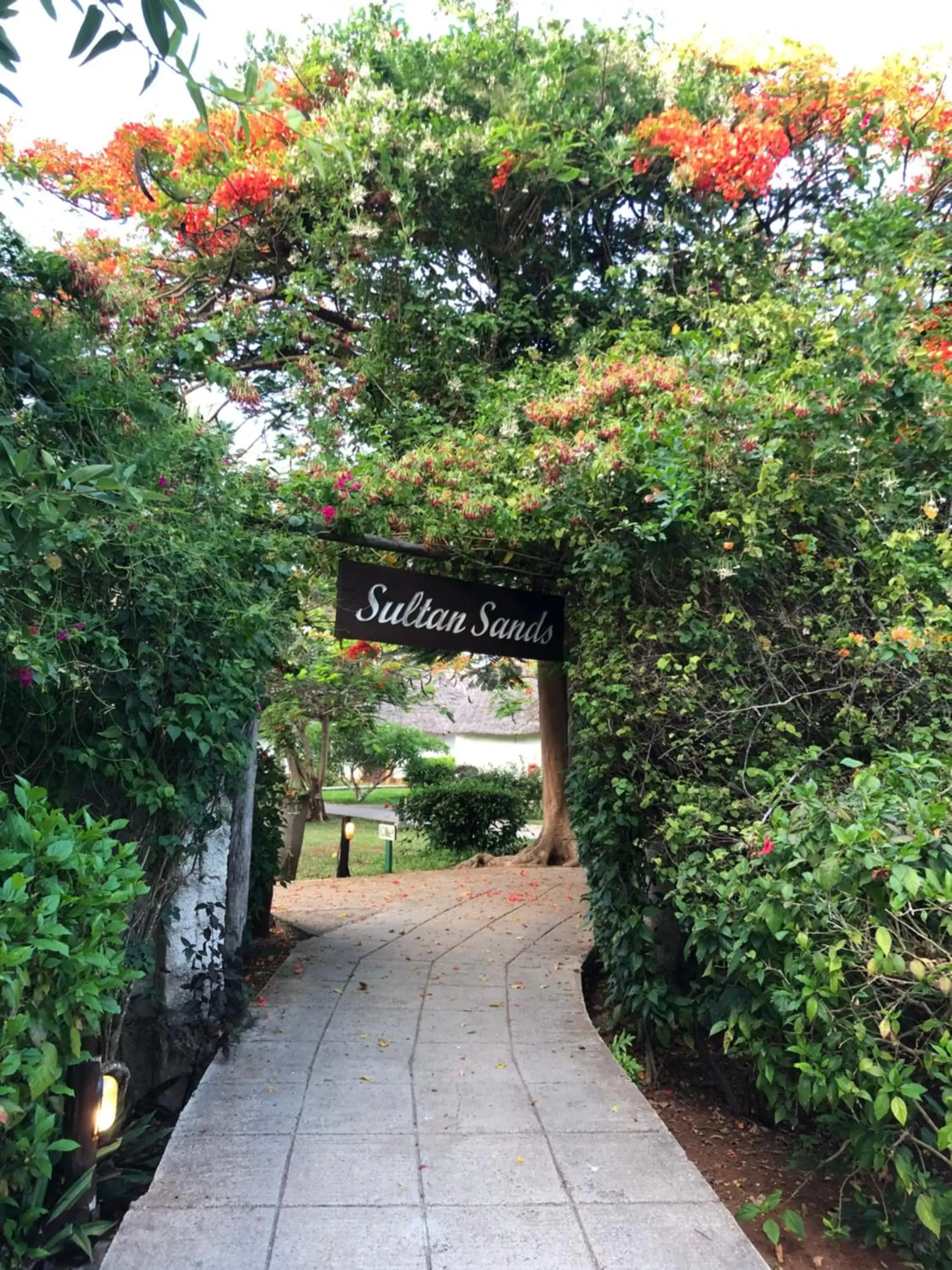 Garden in Sultan Sands Island Resort