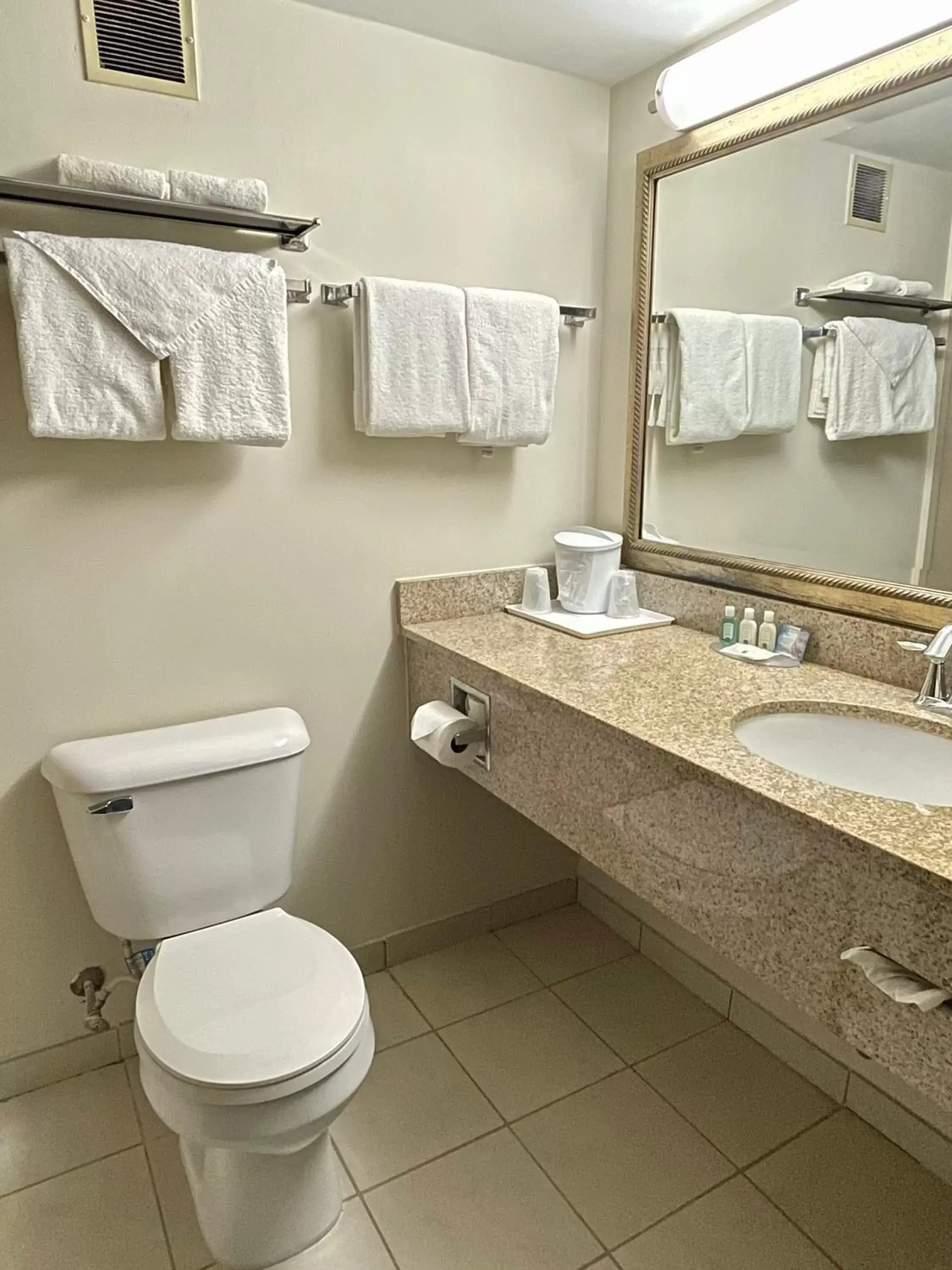 Bathroom in Quality Inn