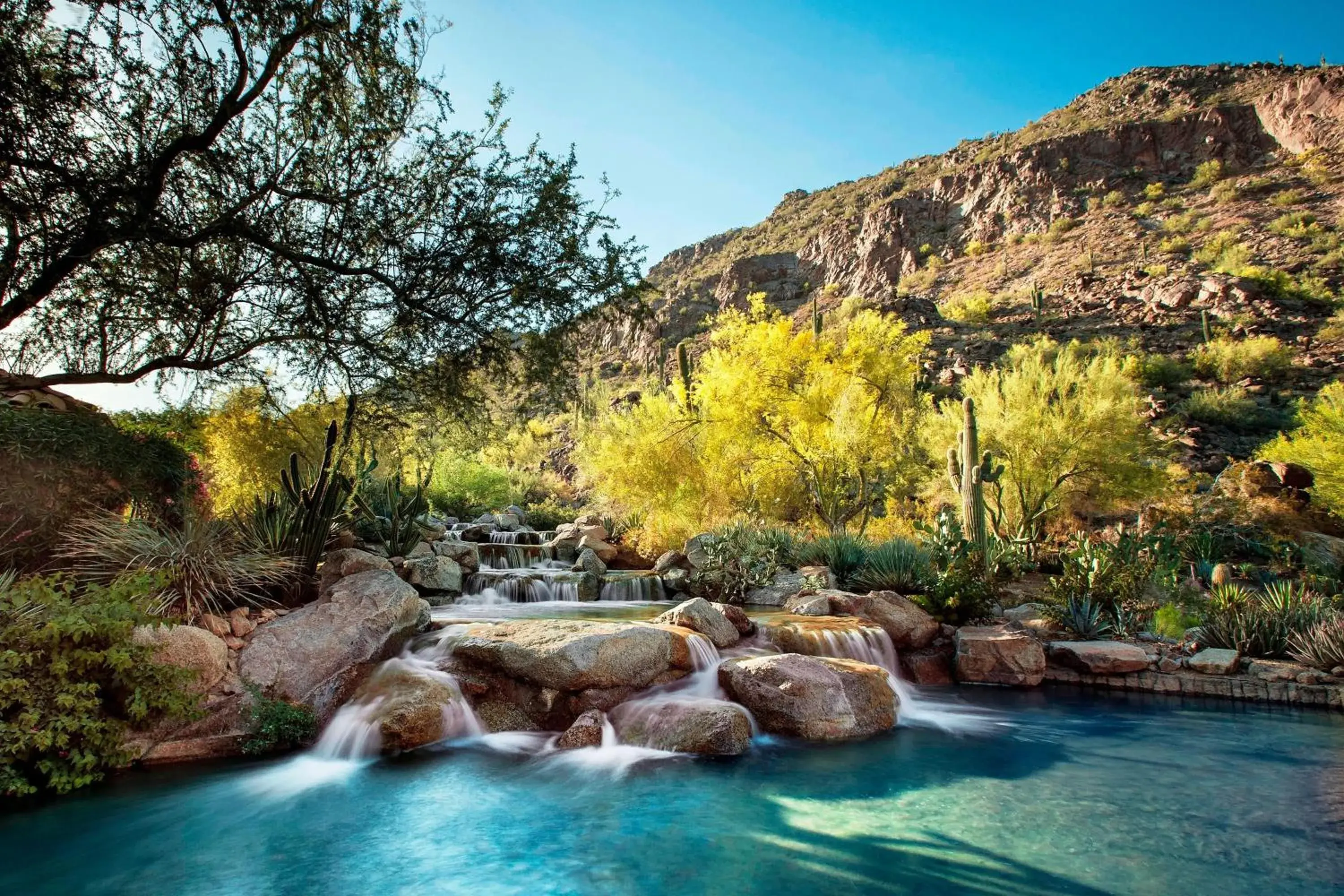 Property building, Natural Landscape in The Canyon Suites At The Phoenician, A Luxury Collection Resort