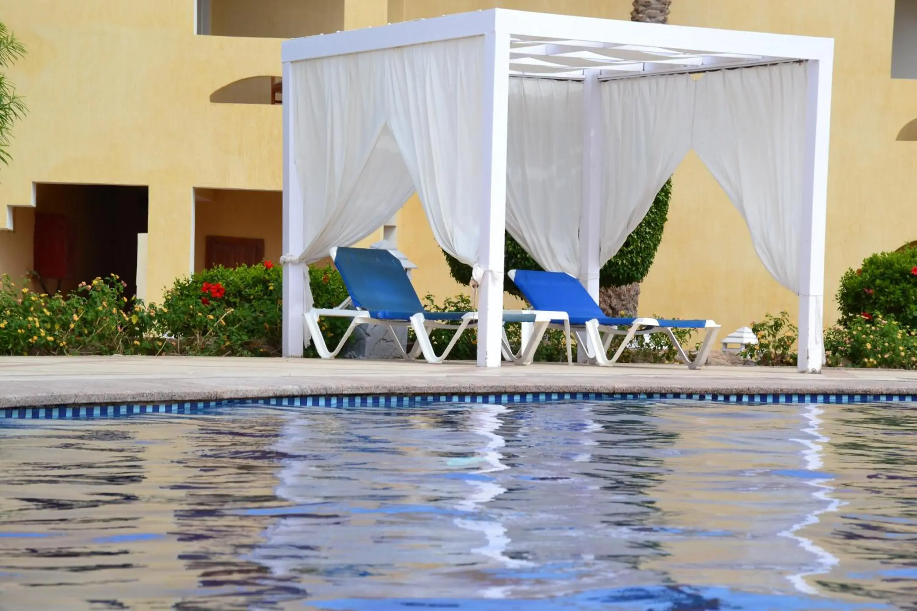 Swimming Pool in Regency Plaza Aqua Park and Spa Resort