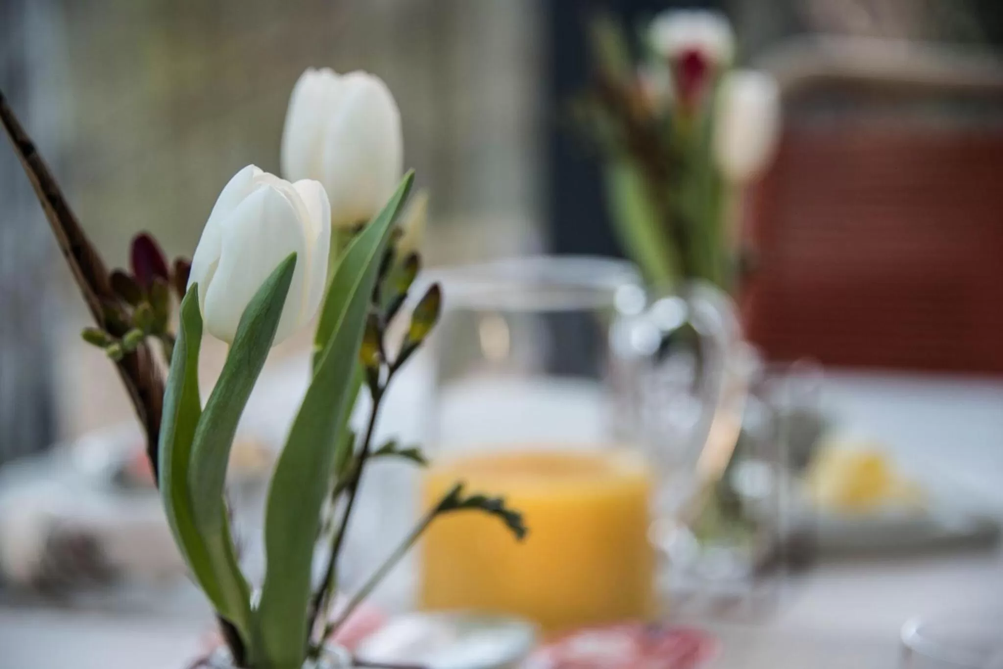 English/Irish breakfast in St Leonards Farmhouse