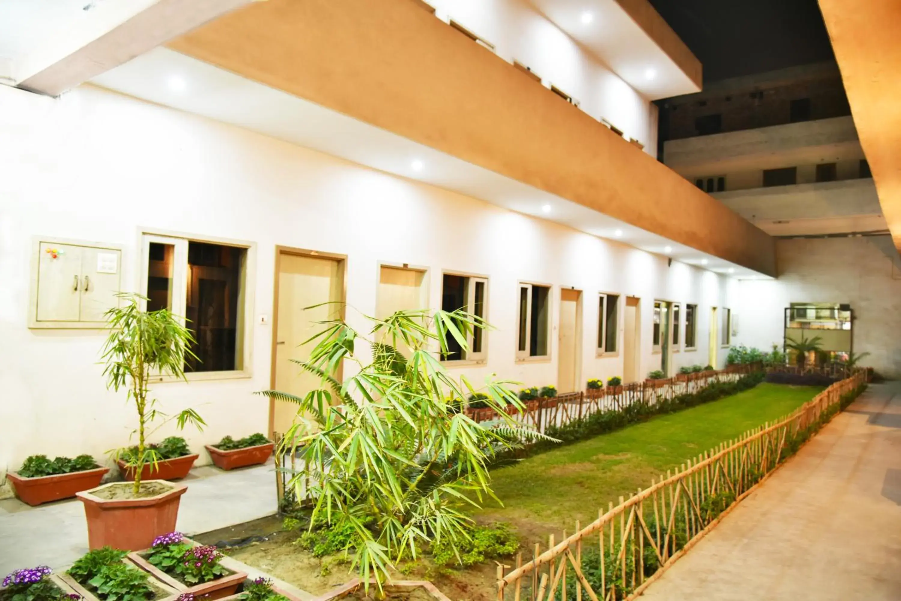 Garden, Property Building in Hotel Palace