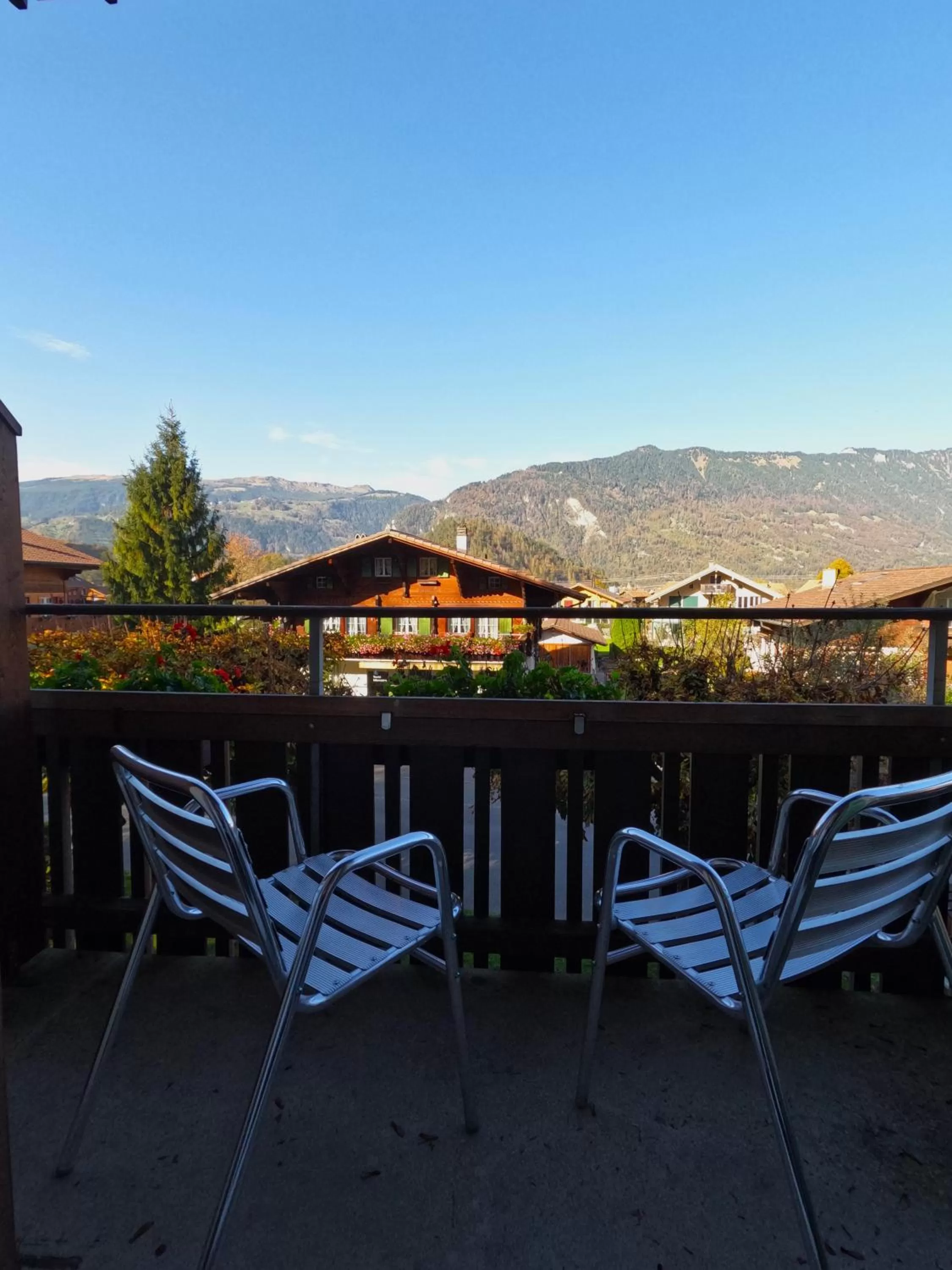 Natural landscape in Alpenrose Hotel and Gardens