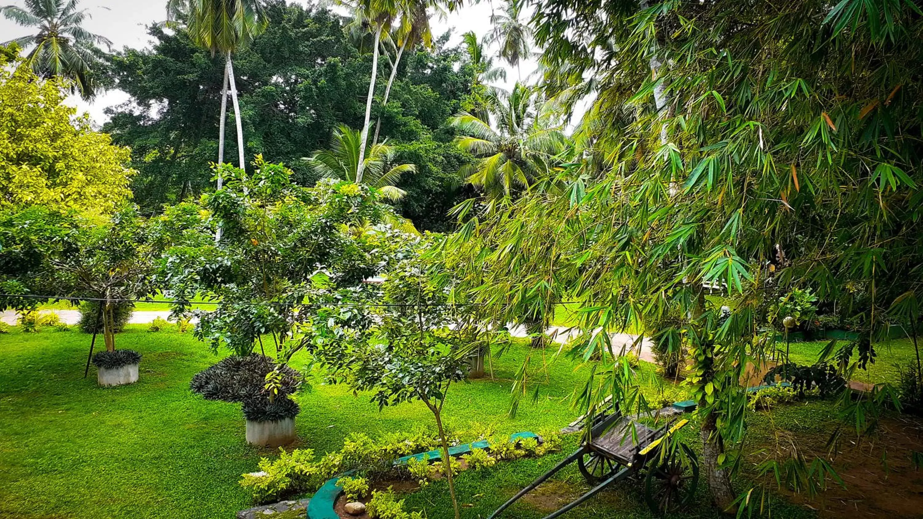 Garden in Oreeka - Katunayake Airport Transit Hotels