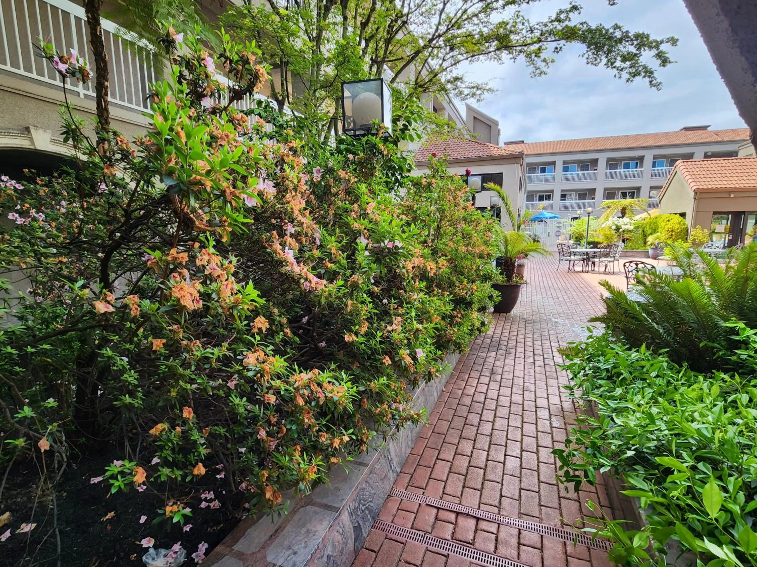 Garden in La Quinta by Wyndham San Francisco Airport West Millbrae FREE AIRPORT SHUTTLE