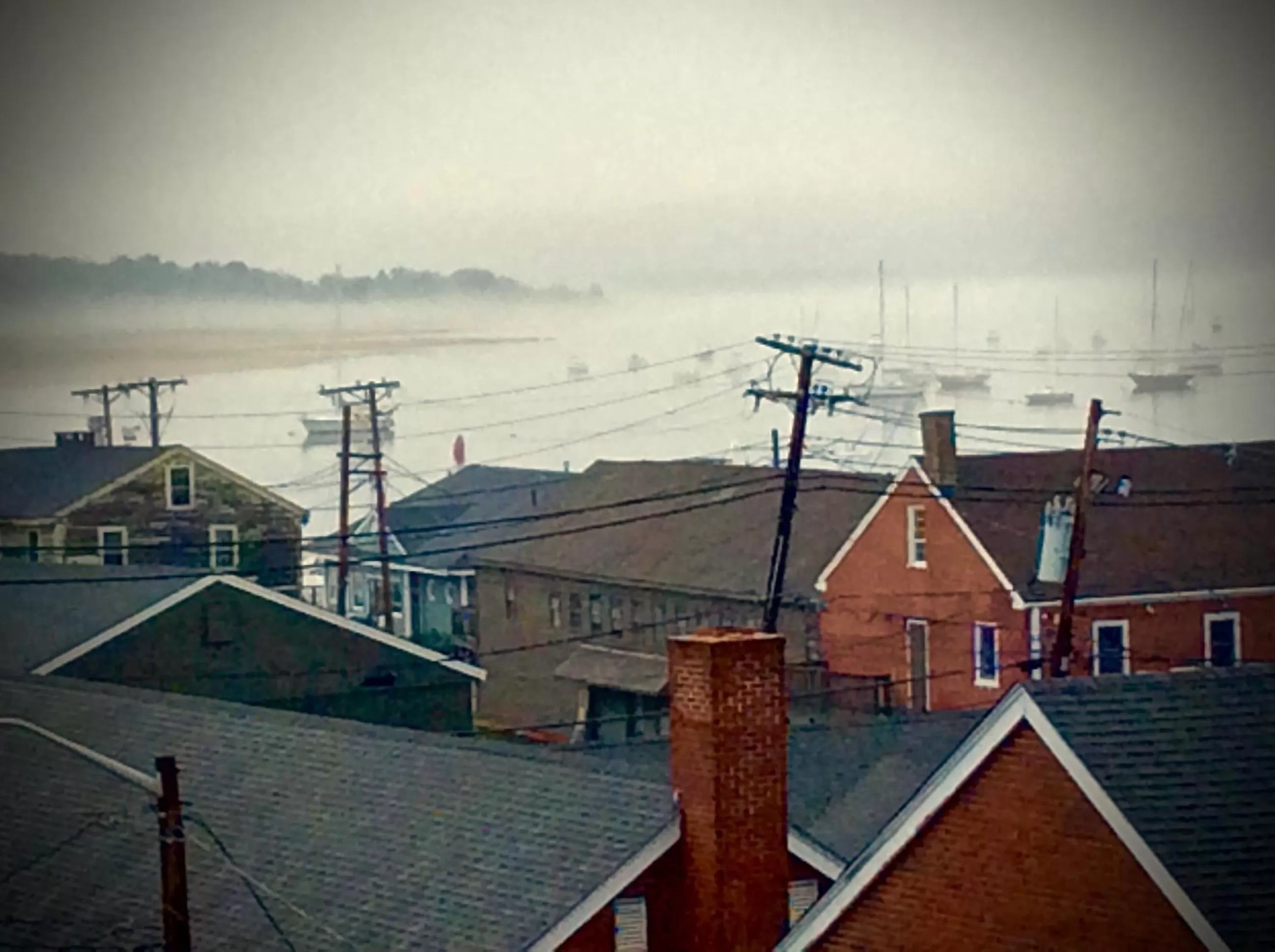 Neighbourhood in Compass Rose Inn