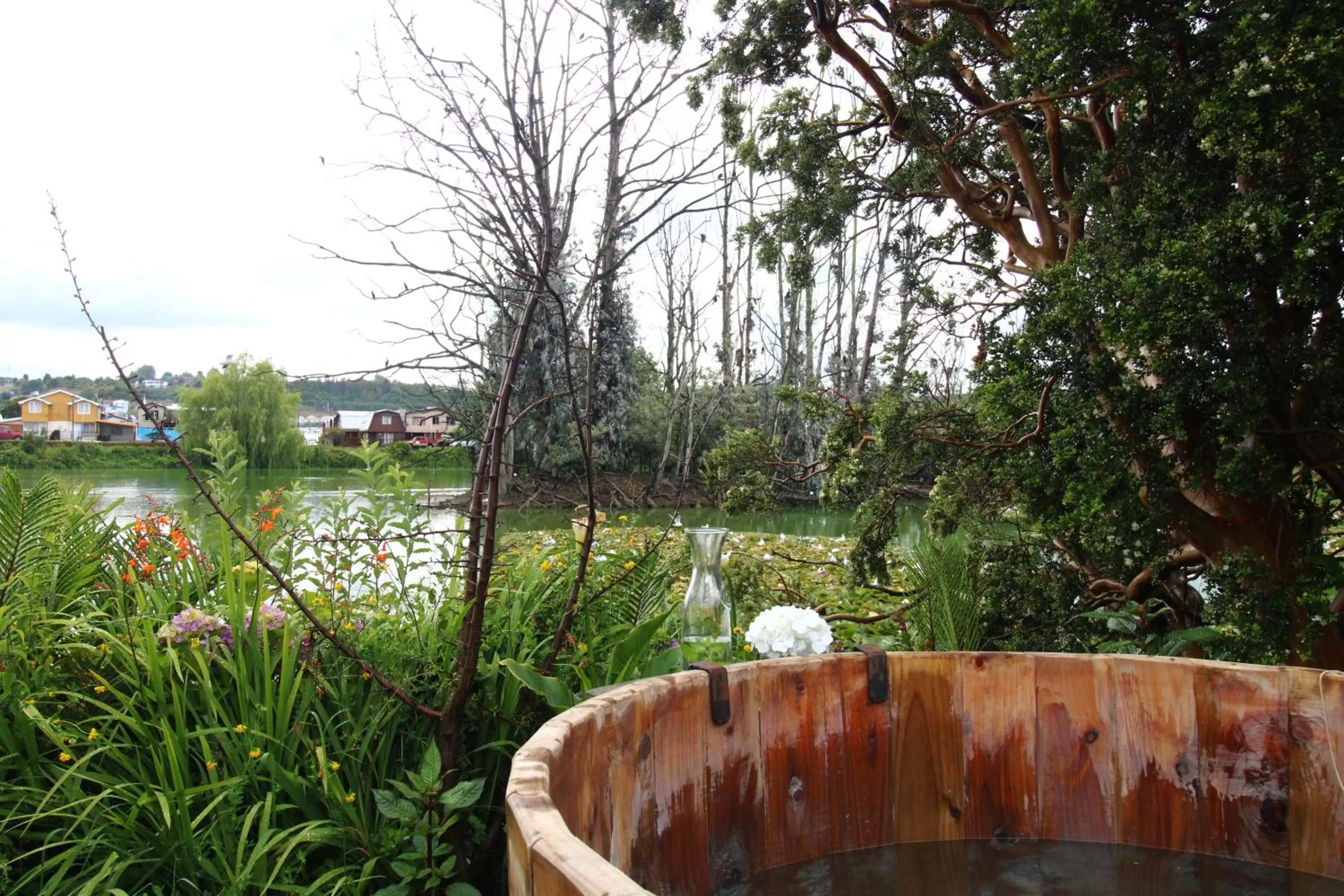 Natural landscape in Hotel Boutique Casa Werner