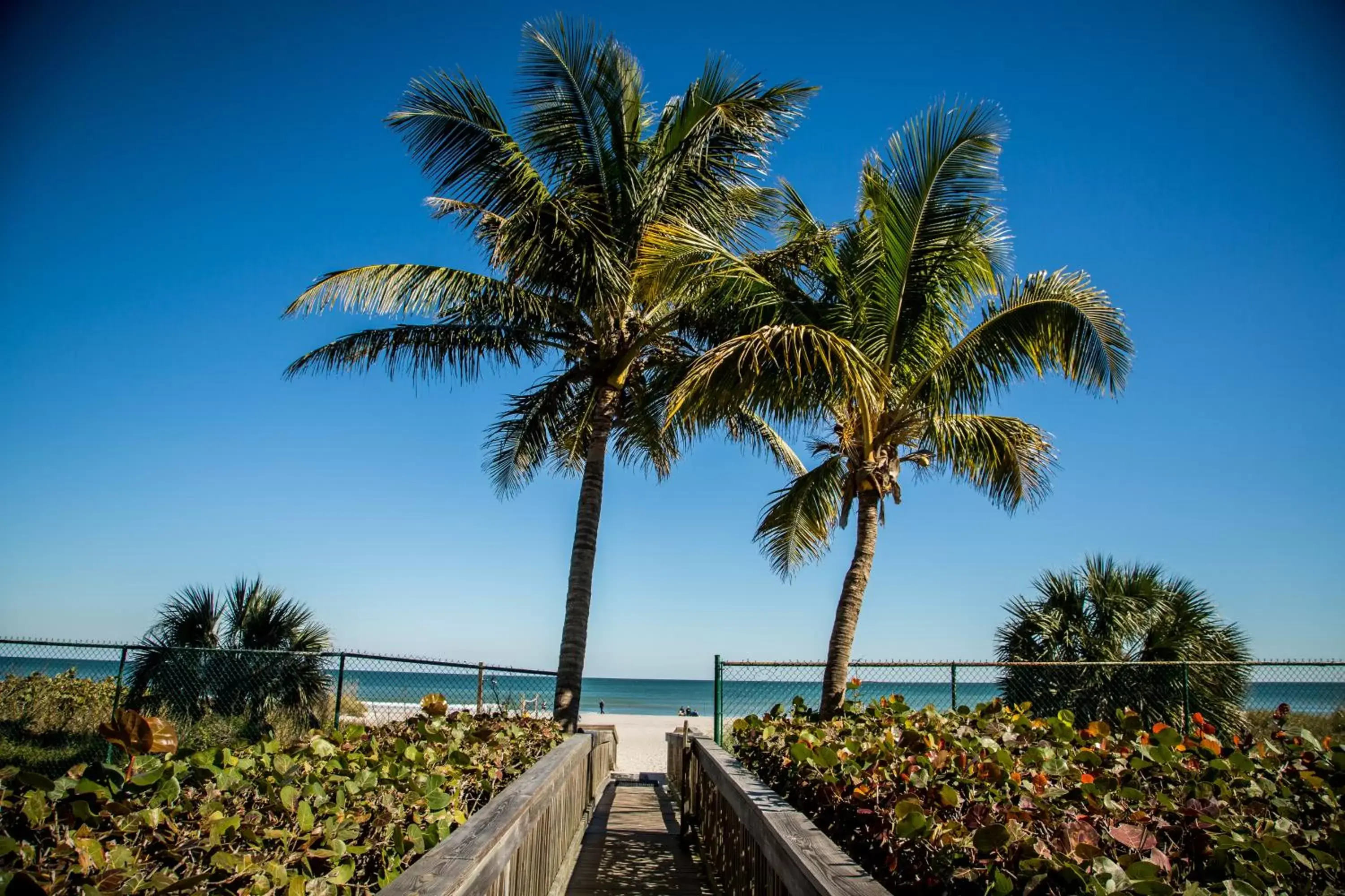 Sea view in Ocean Landings Resort