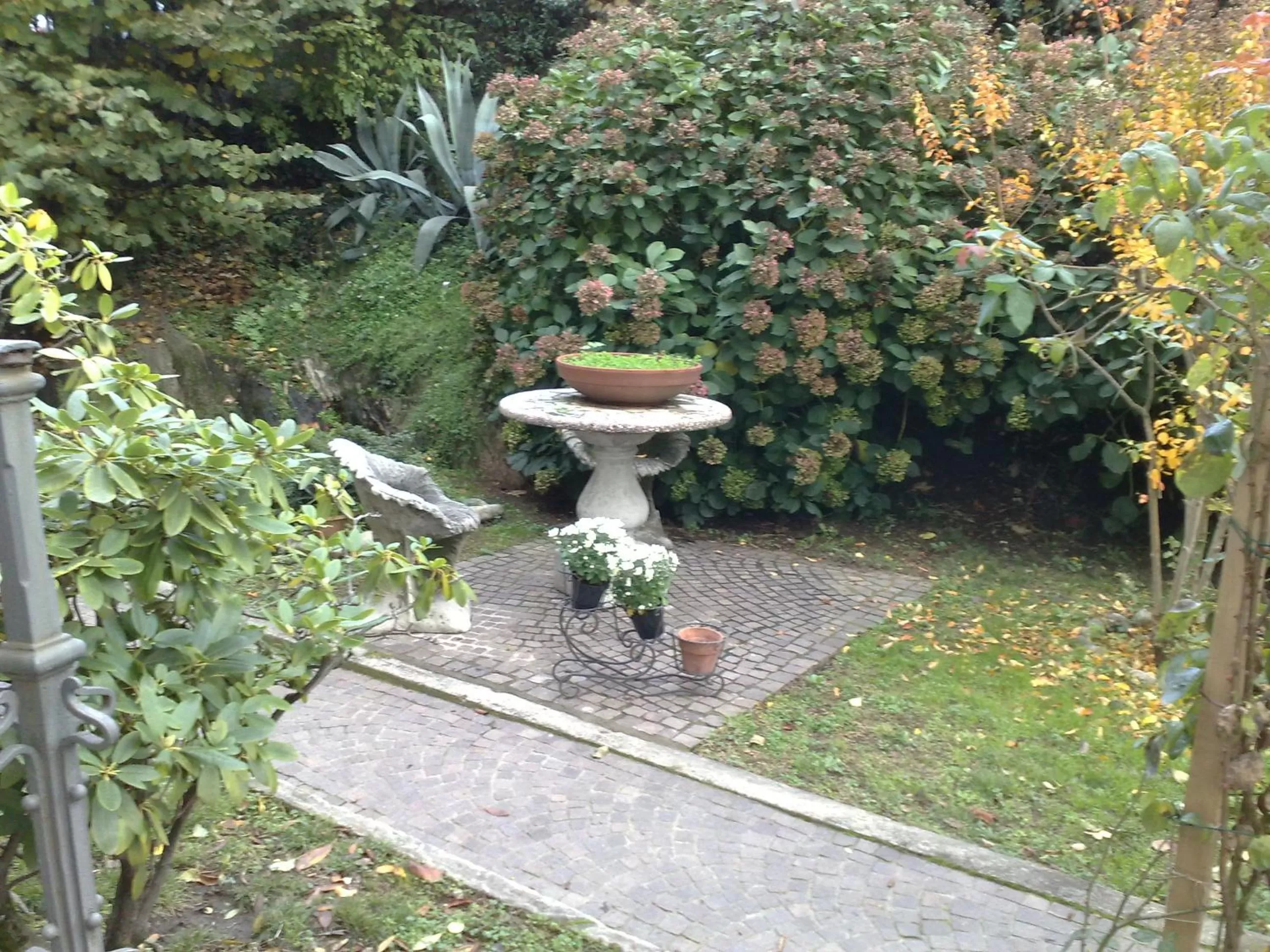 Garden in Villa Stefy