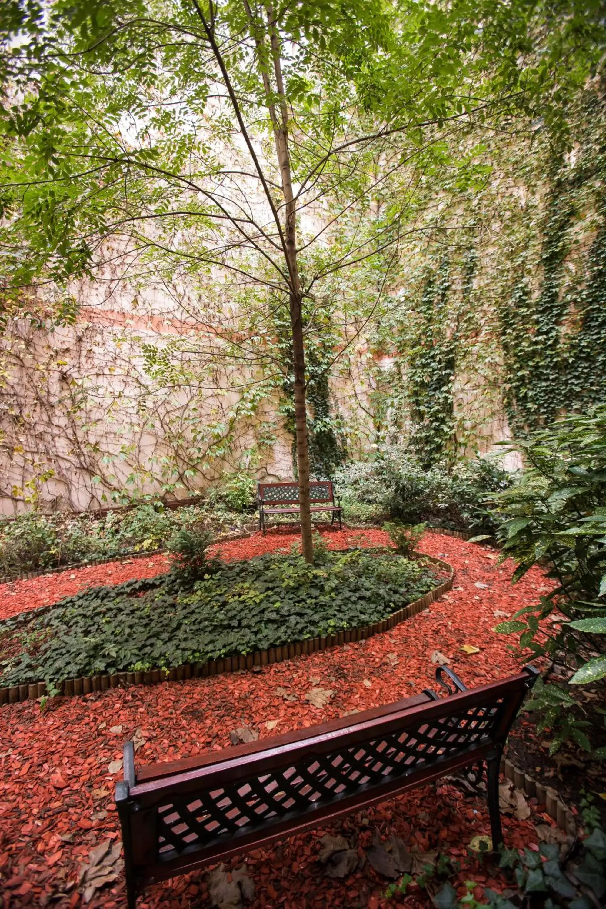 Garden in City Home Budapest