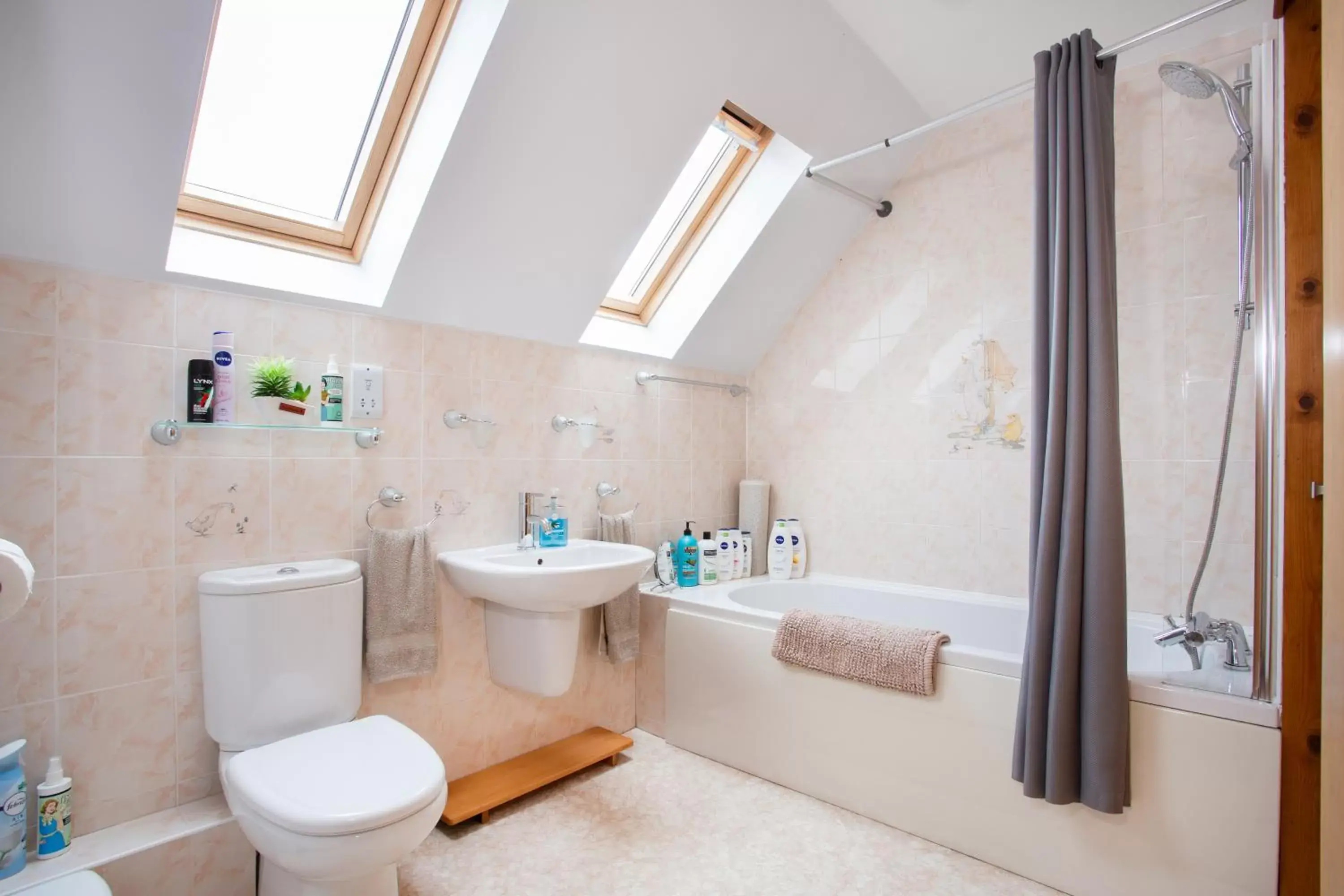 Shower, Bathroom in Beechwood Lodge