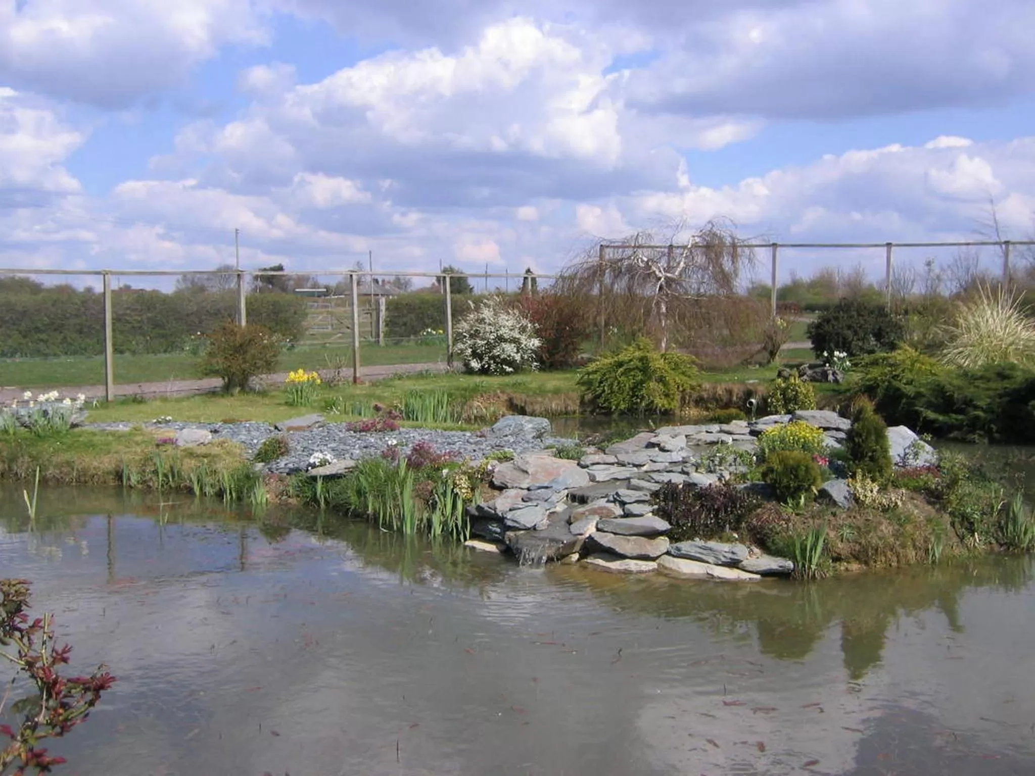 Garden in Pointers Guest House