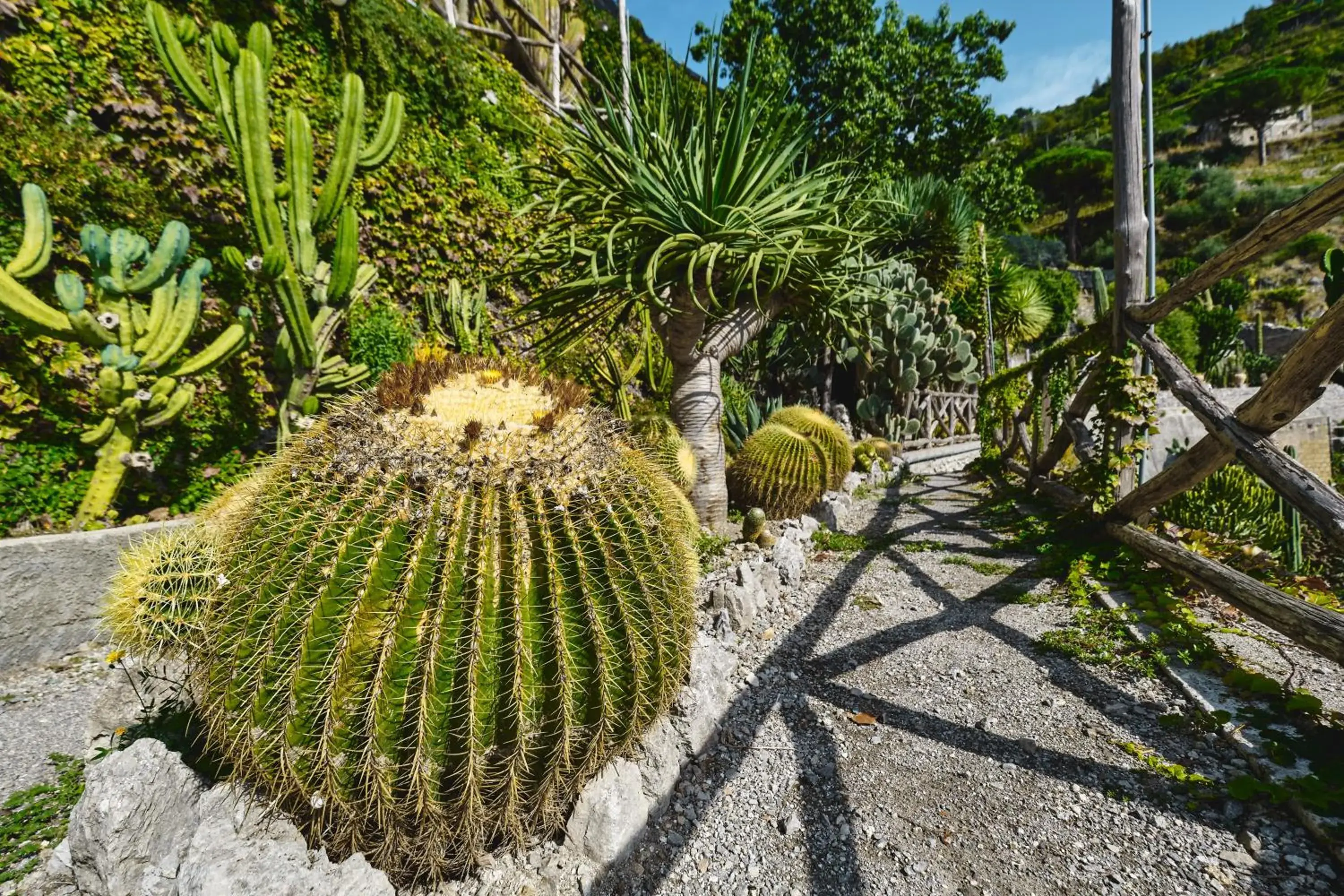 Garden, Other Animals in Hotel Botanico San Lazzaro