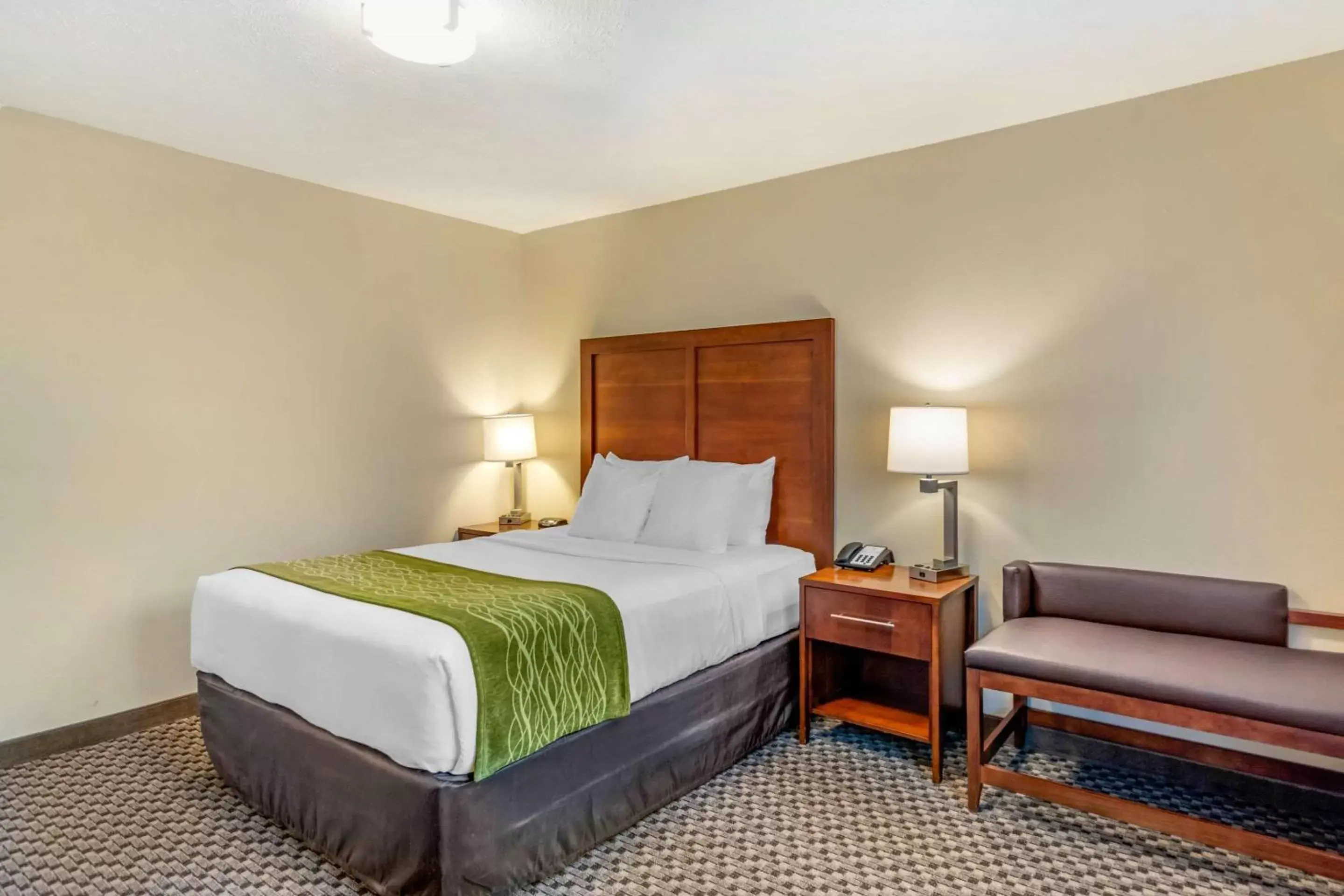 Accessible Queen Room with Roll In Shower - Non Smoking in Comfort Inn & Suites Lancaster Antelope Valley