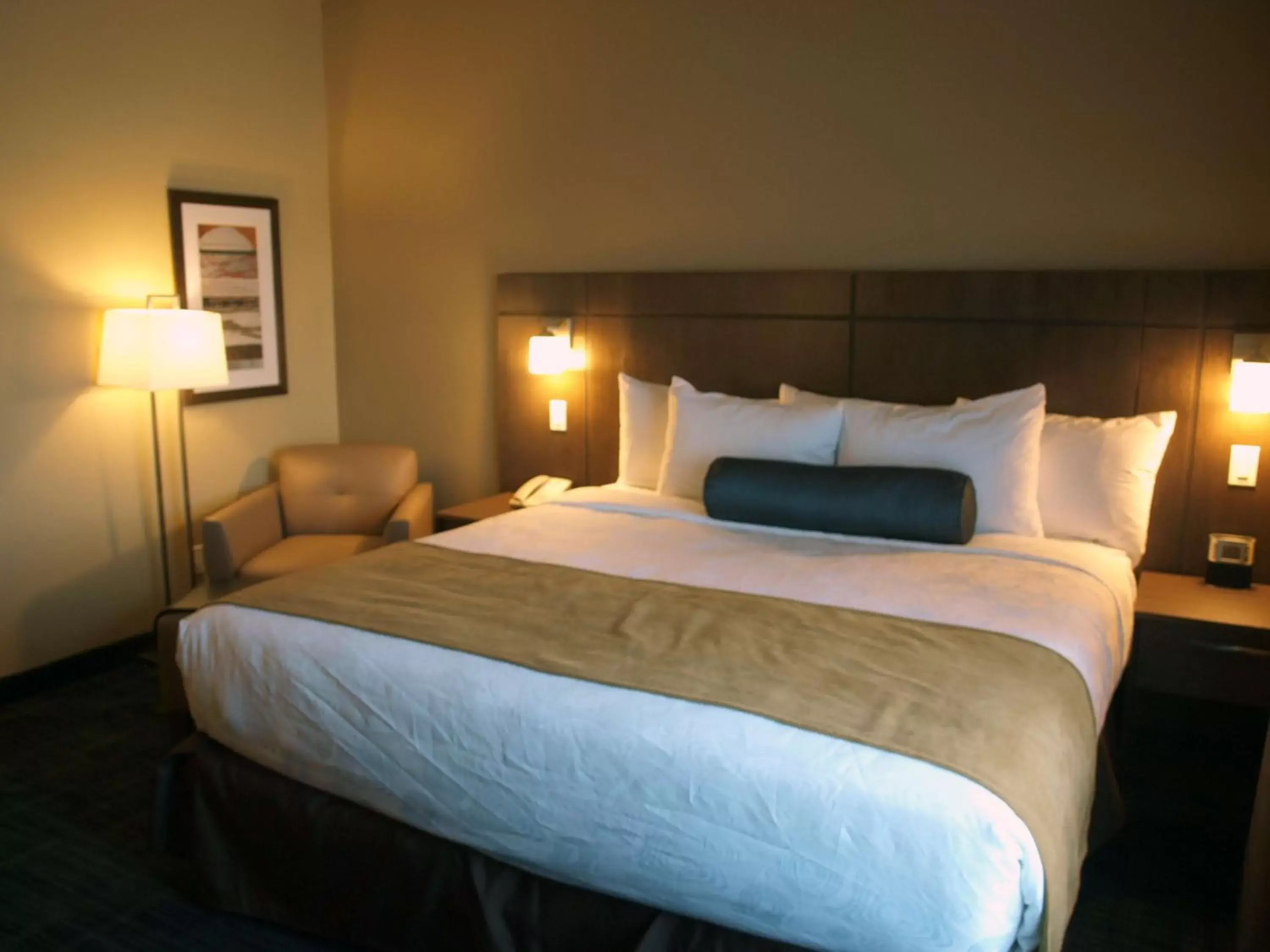 Photo of the whole room, Bed in Best Western Plus Winnipeg West