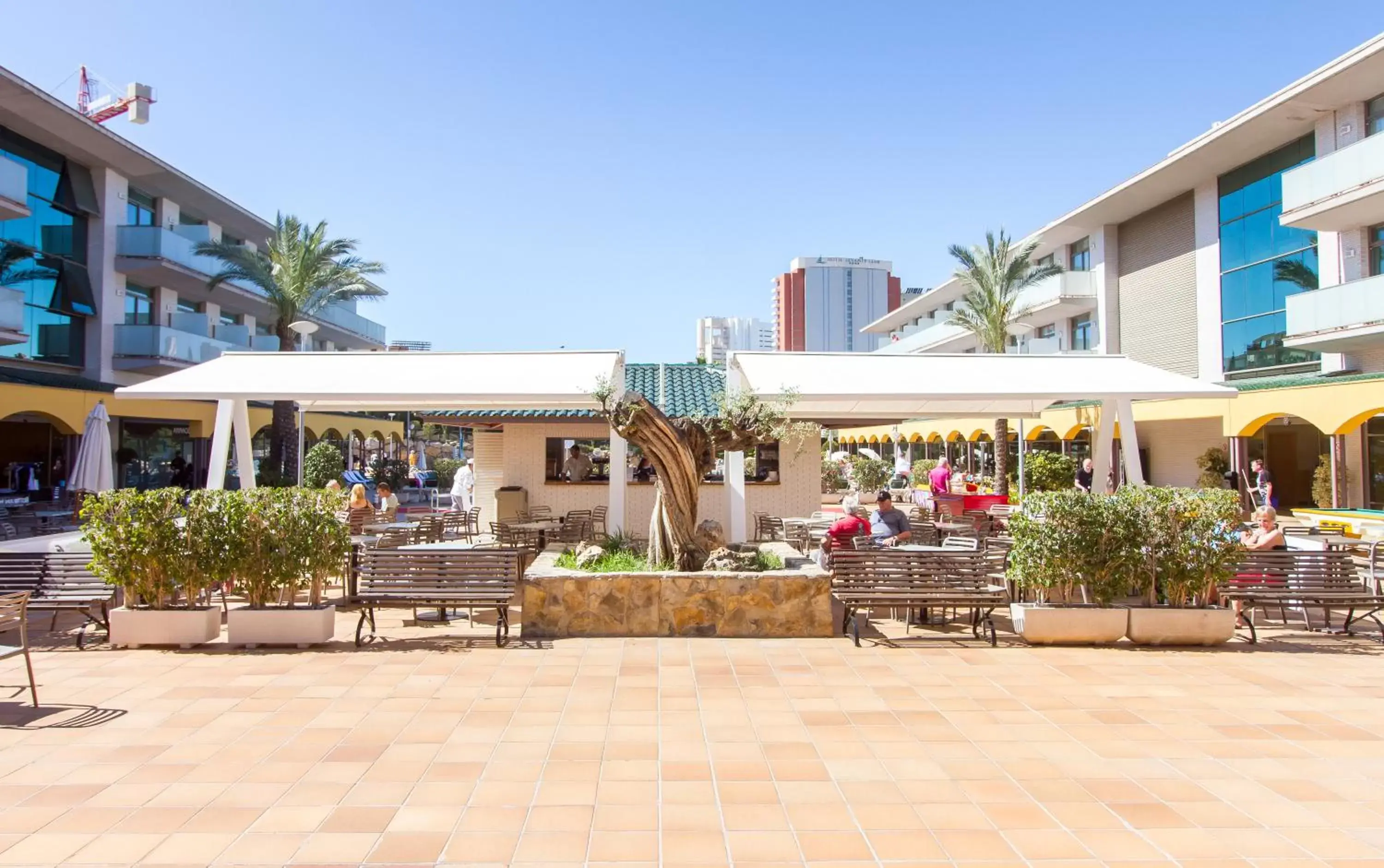 Patio, Restaurant/Places to Eat in Hotel Mediterraneo