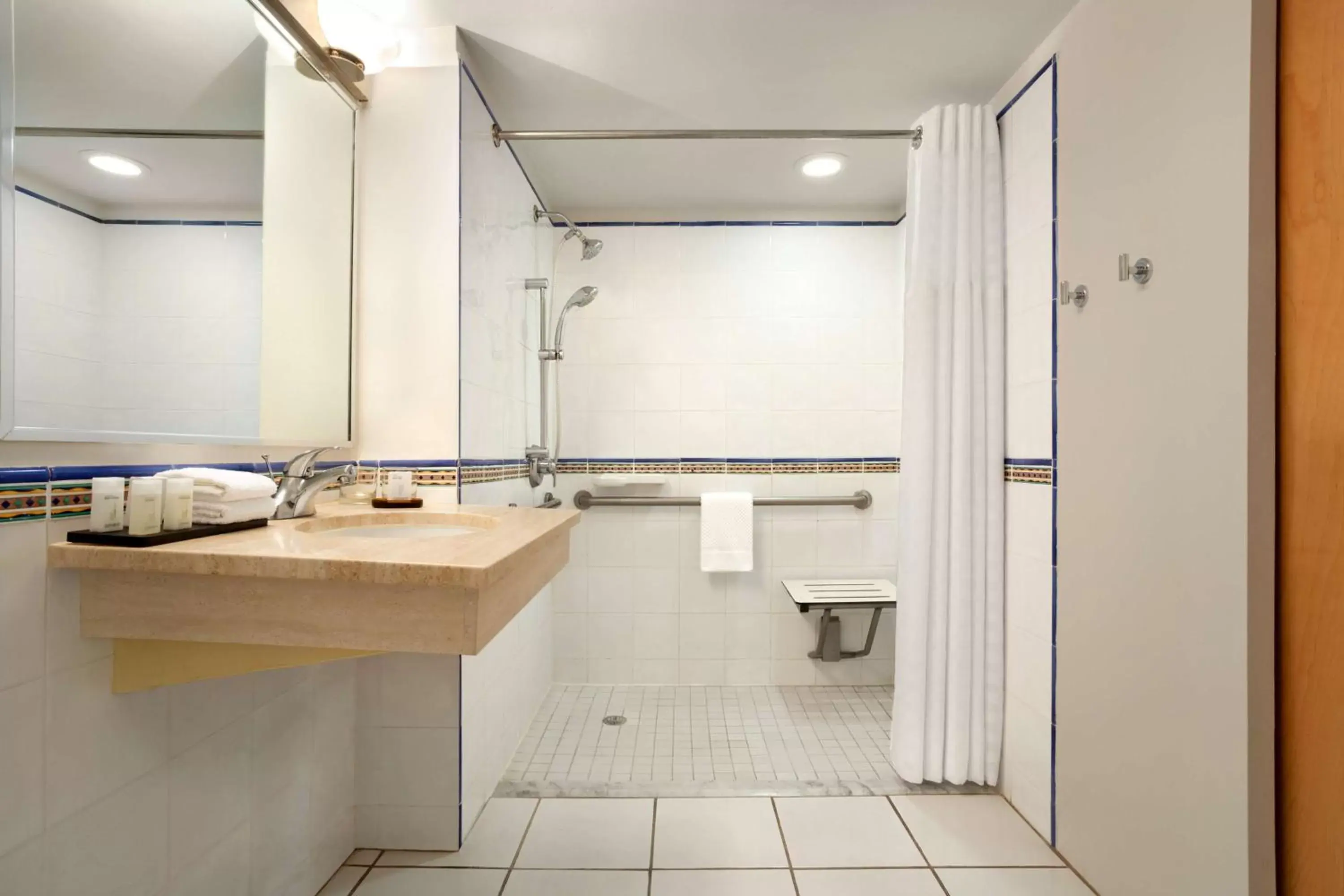 Bathroom in Embassy Suites by Hilton Dorado del Mar Beach Resort