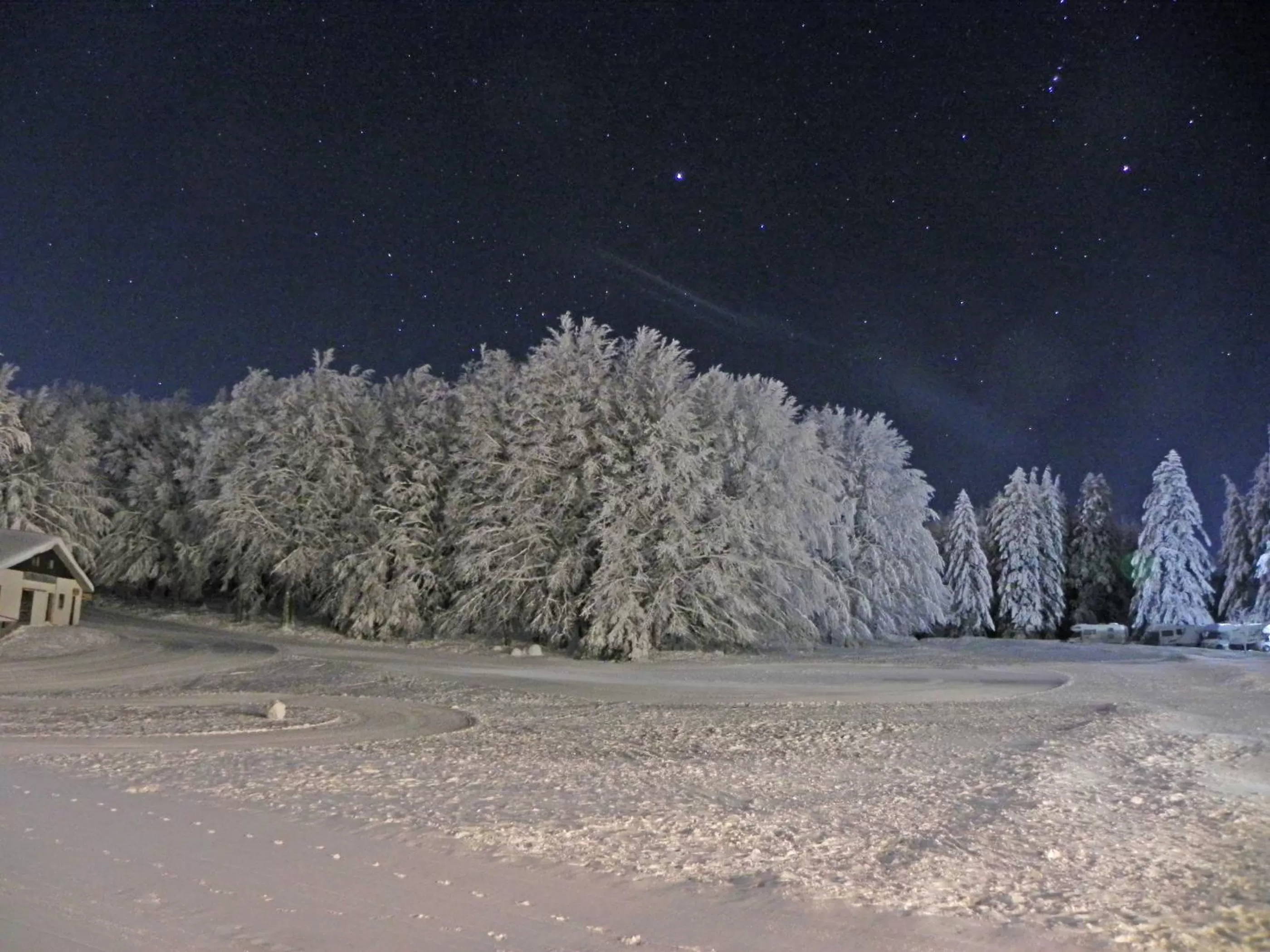 Garden view in Albergo Le Macinaie - Monte Amiata