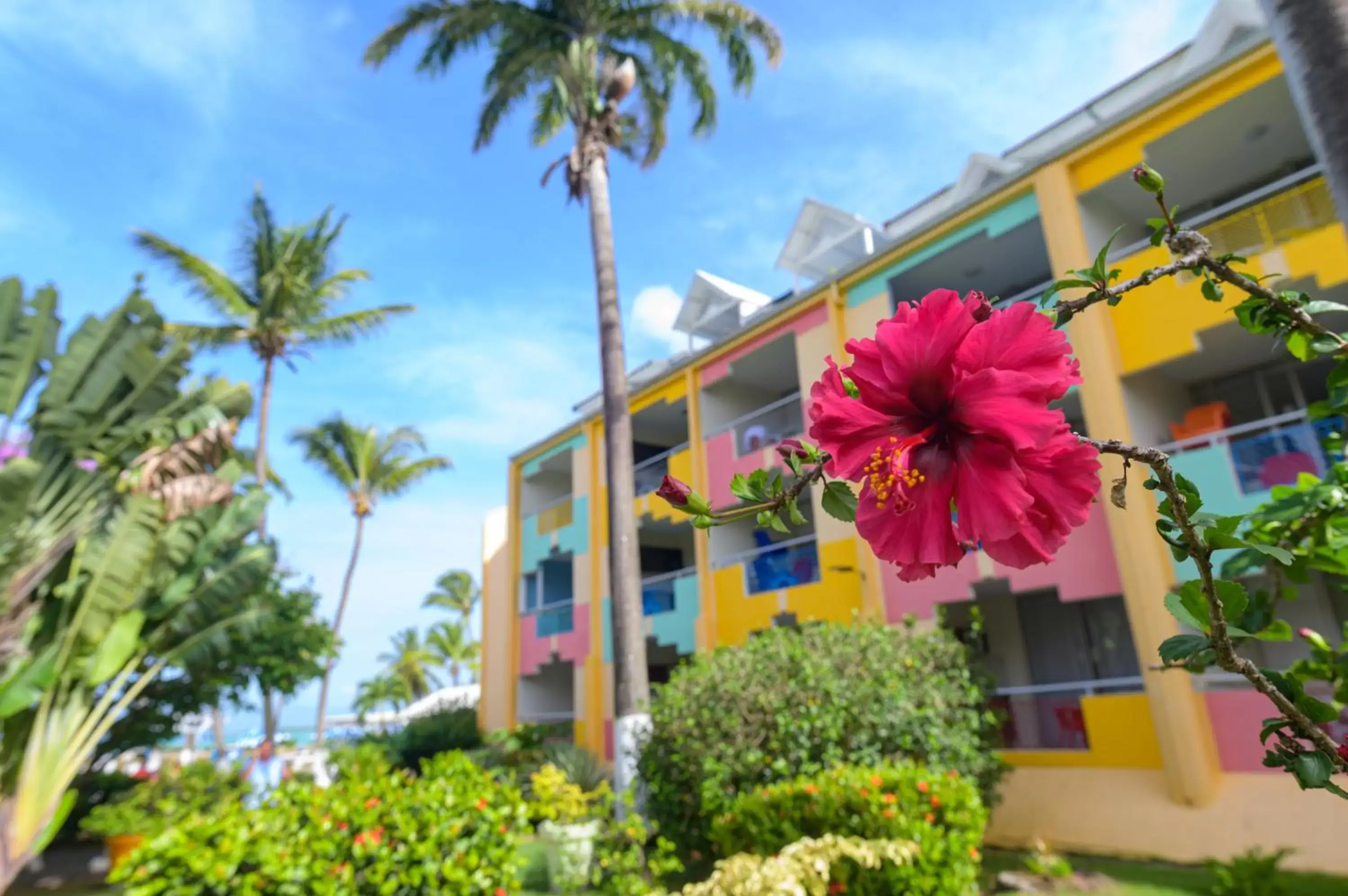 Garden view, Property Building in Canella Beach Hotel