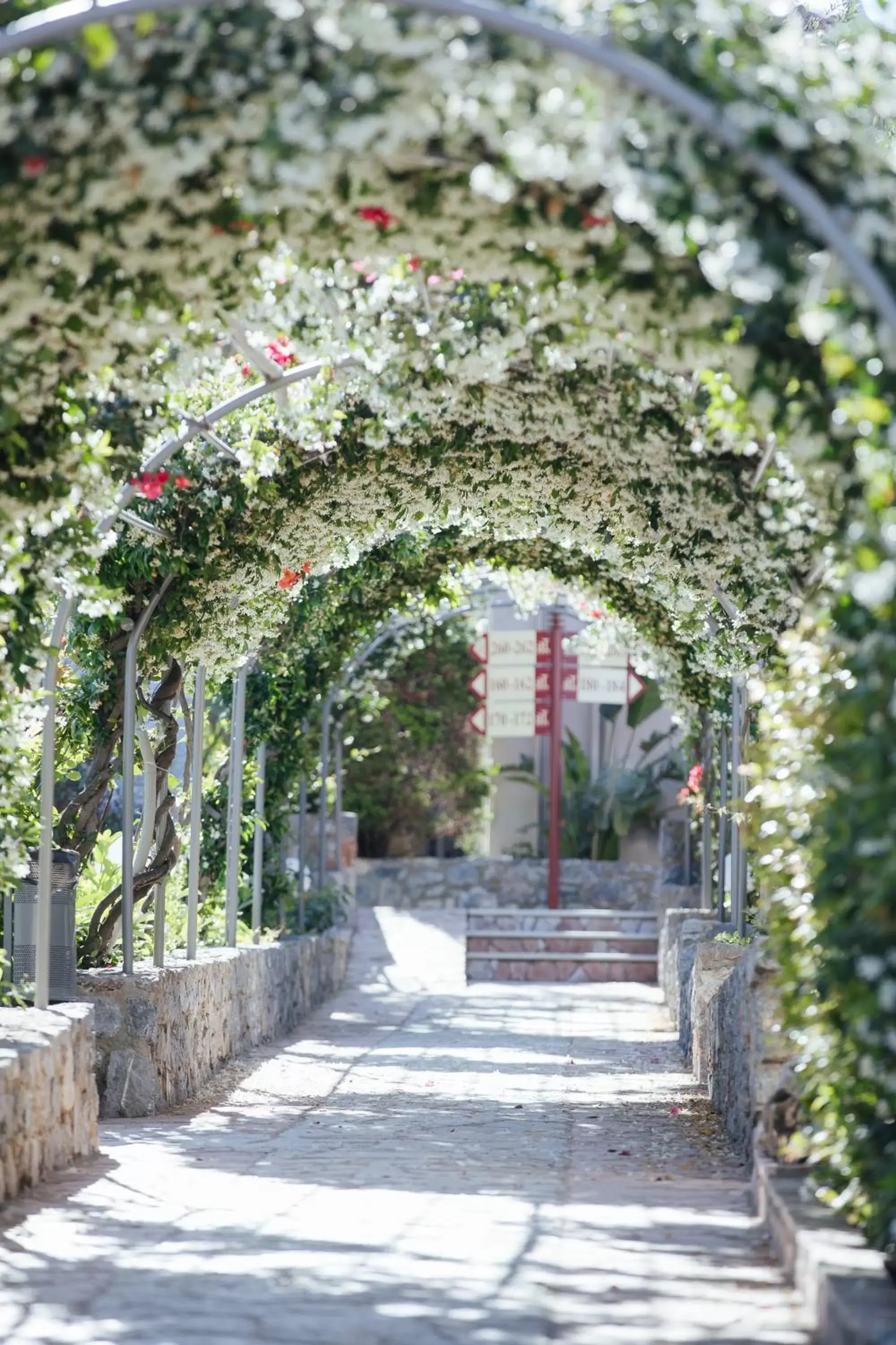 Garden in Akti Taygetos - Conference Resort