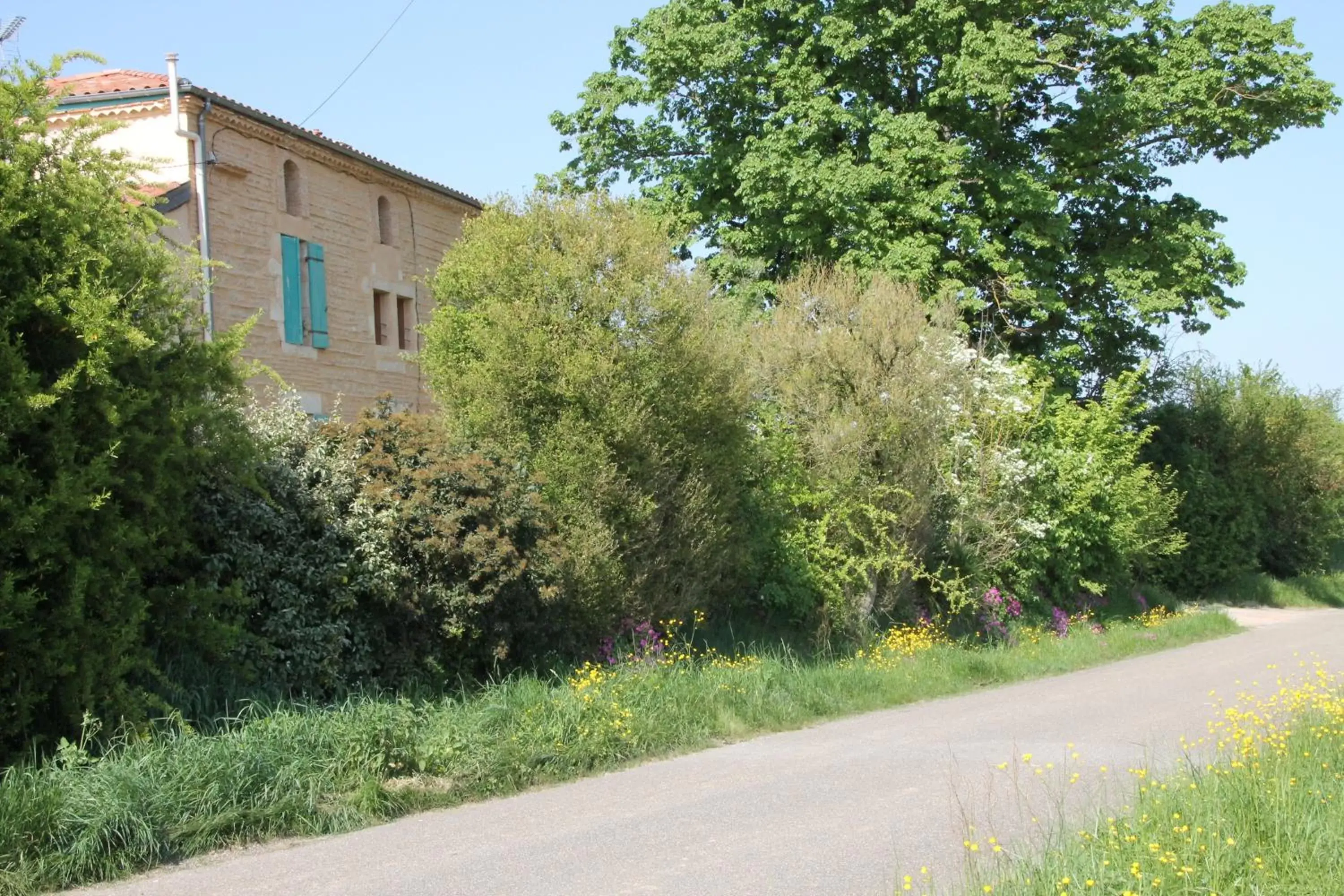 Property Building in Les Terrasses des Mimosas