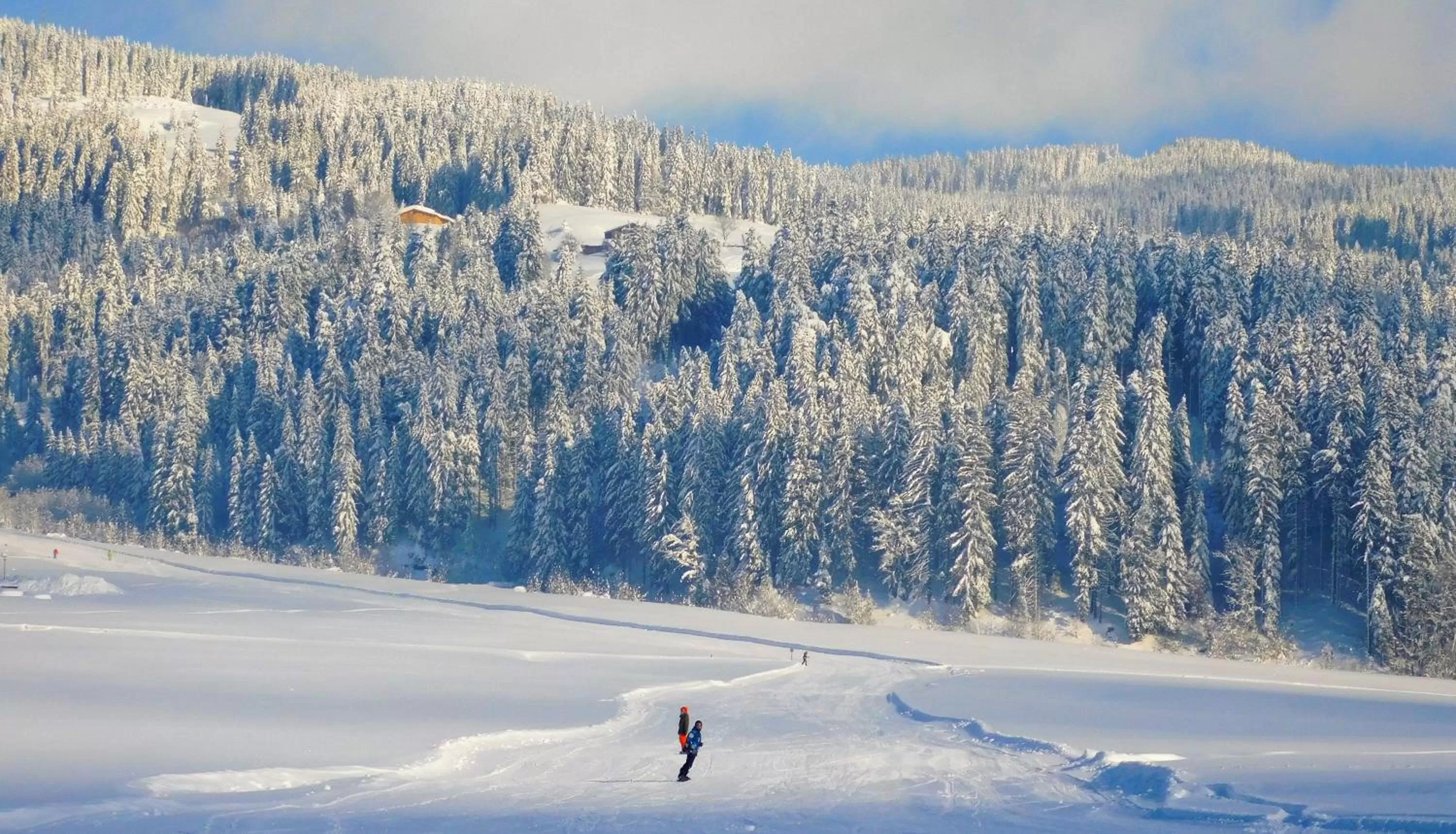 Skiing in Vital & Sporthotel Brixen