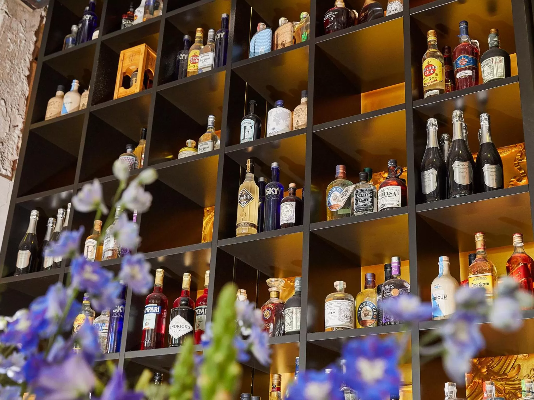 Area and facilities in Boutique Hotel Anker