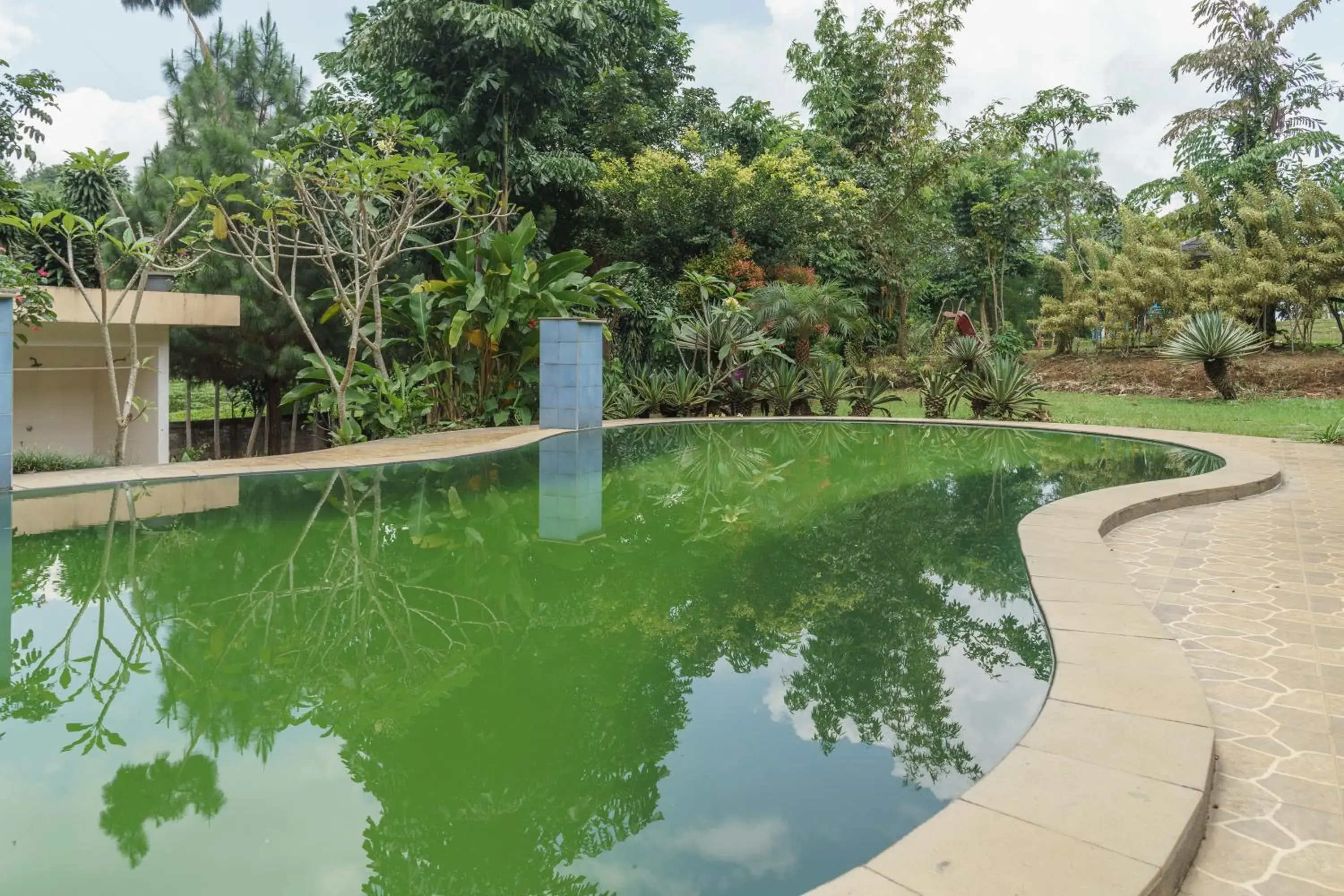 Swimming Pool in RedDoorz Plus at Hotel Negeri Baru Lodaya Puncak