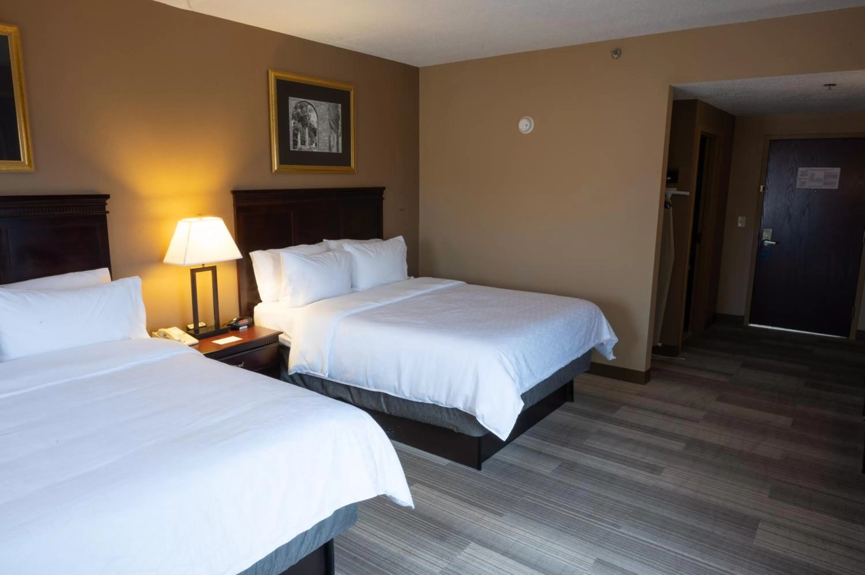 Queen Room with Two Queen Beds - Non-Smoking in Holiday Inn Express & Suites - Tuscaloosa-University, an IHG Hotel