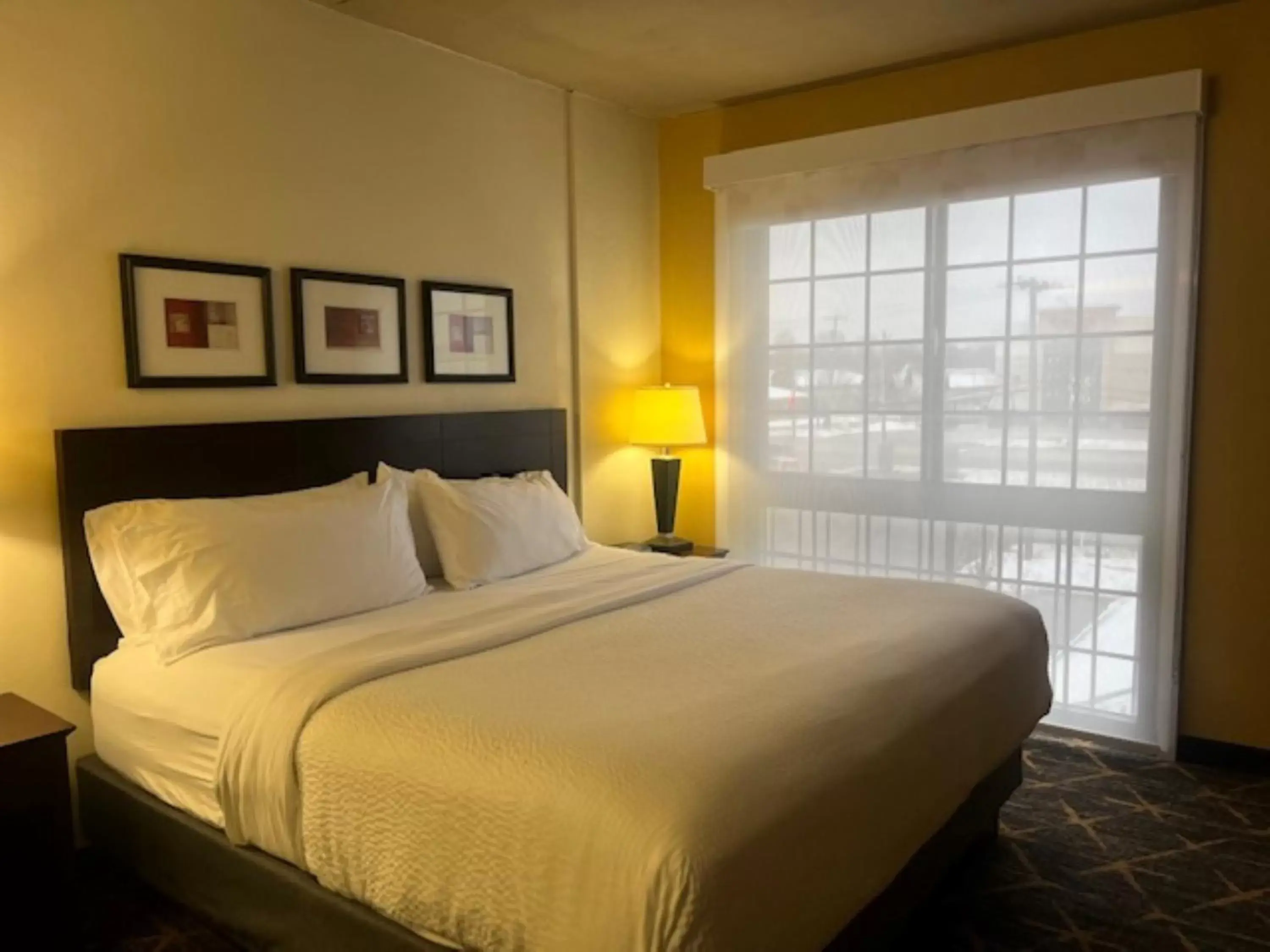 Photo of the whole room, Bed in Holiday Inn Hotel & Suites Springfield, an IHG Hotel