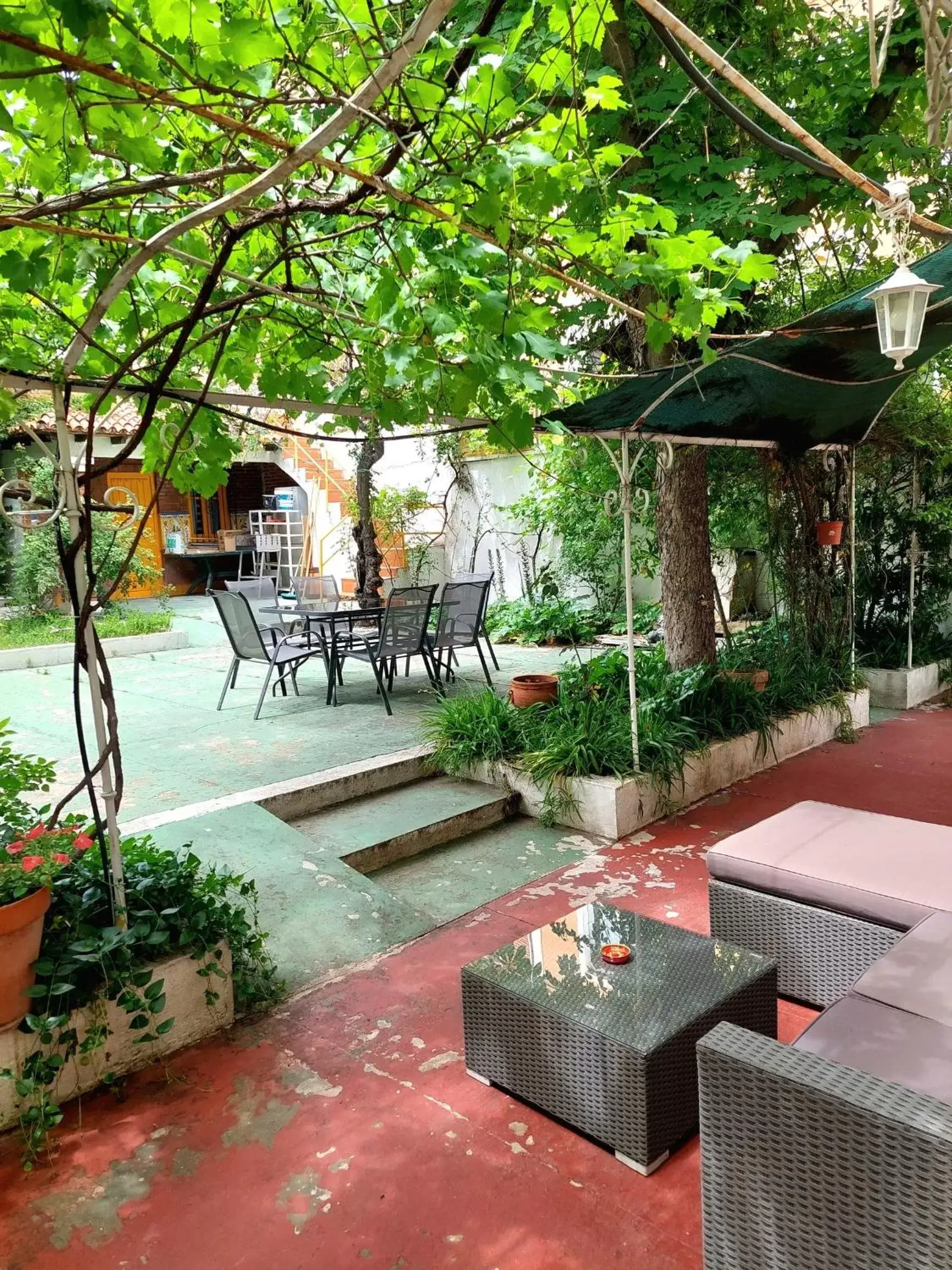 Patio, Restaurant/Places to Eat in N1 Casa de Madrid - greenpeace line