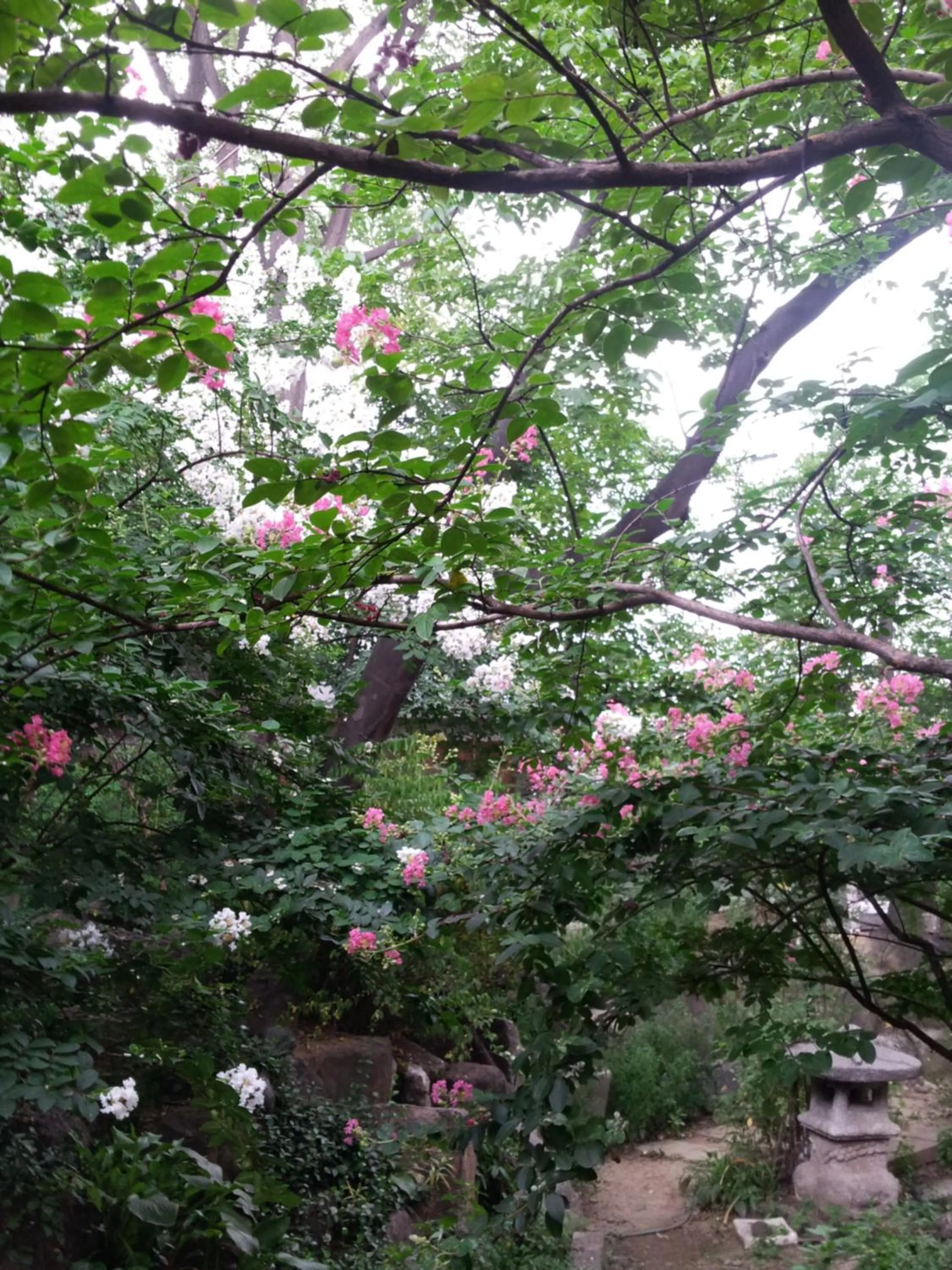Garden in Jiwoljang Guesthouse