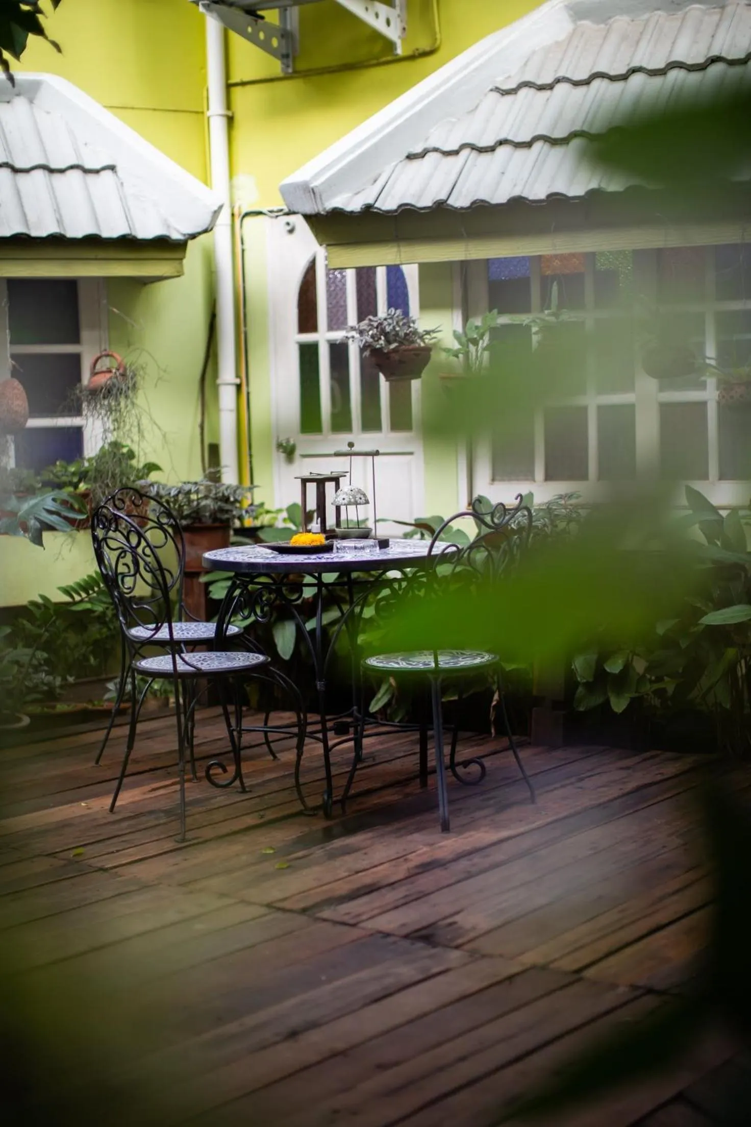 Garden in The Twenty Lodge