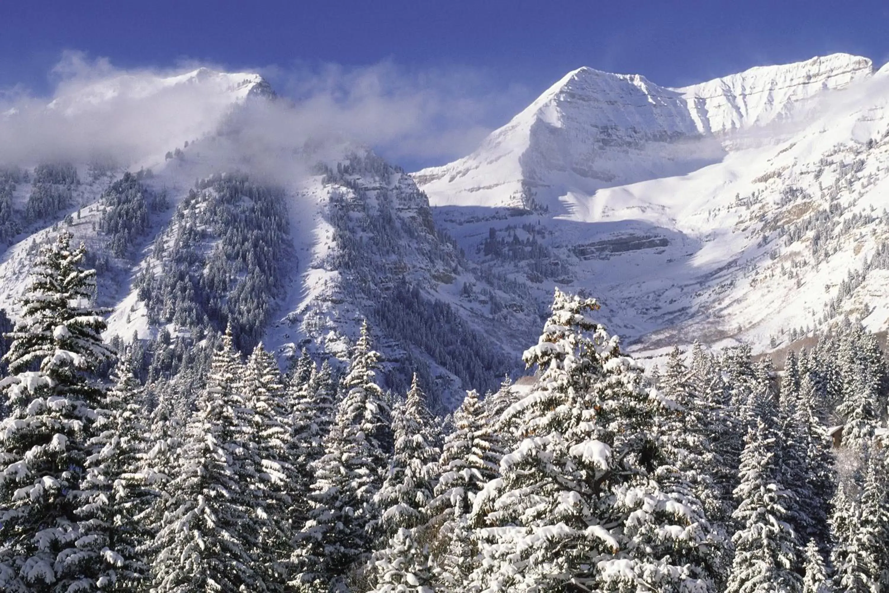 Natural landscape, Winter in Zermatt Utah Resort & Spa Trademark Collection by Wyndham